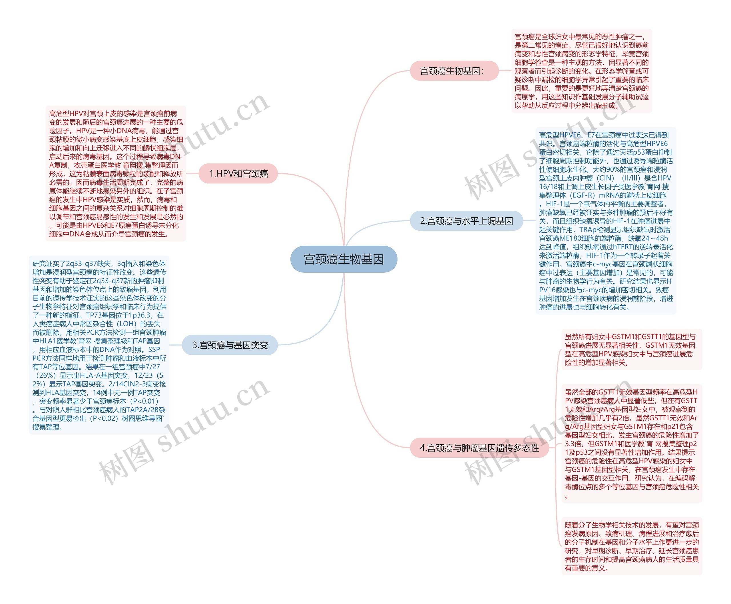 宫颈癌生物基因思维导图