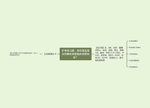 护考练习题：急性肾盂肾炎有哪些典型临床表现特征？