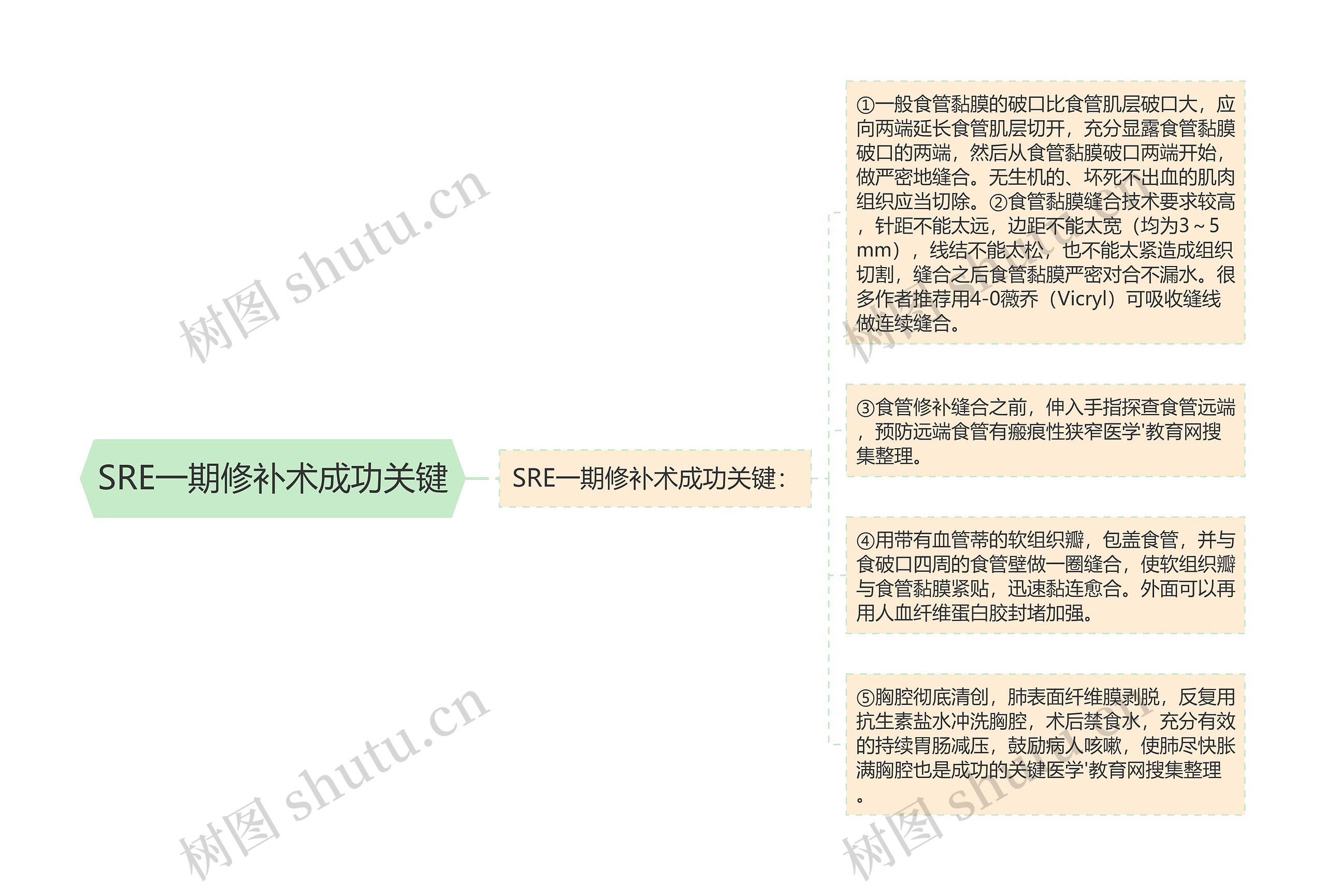 SRE一期修补术成功关键思维导图