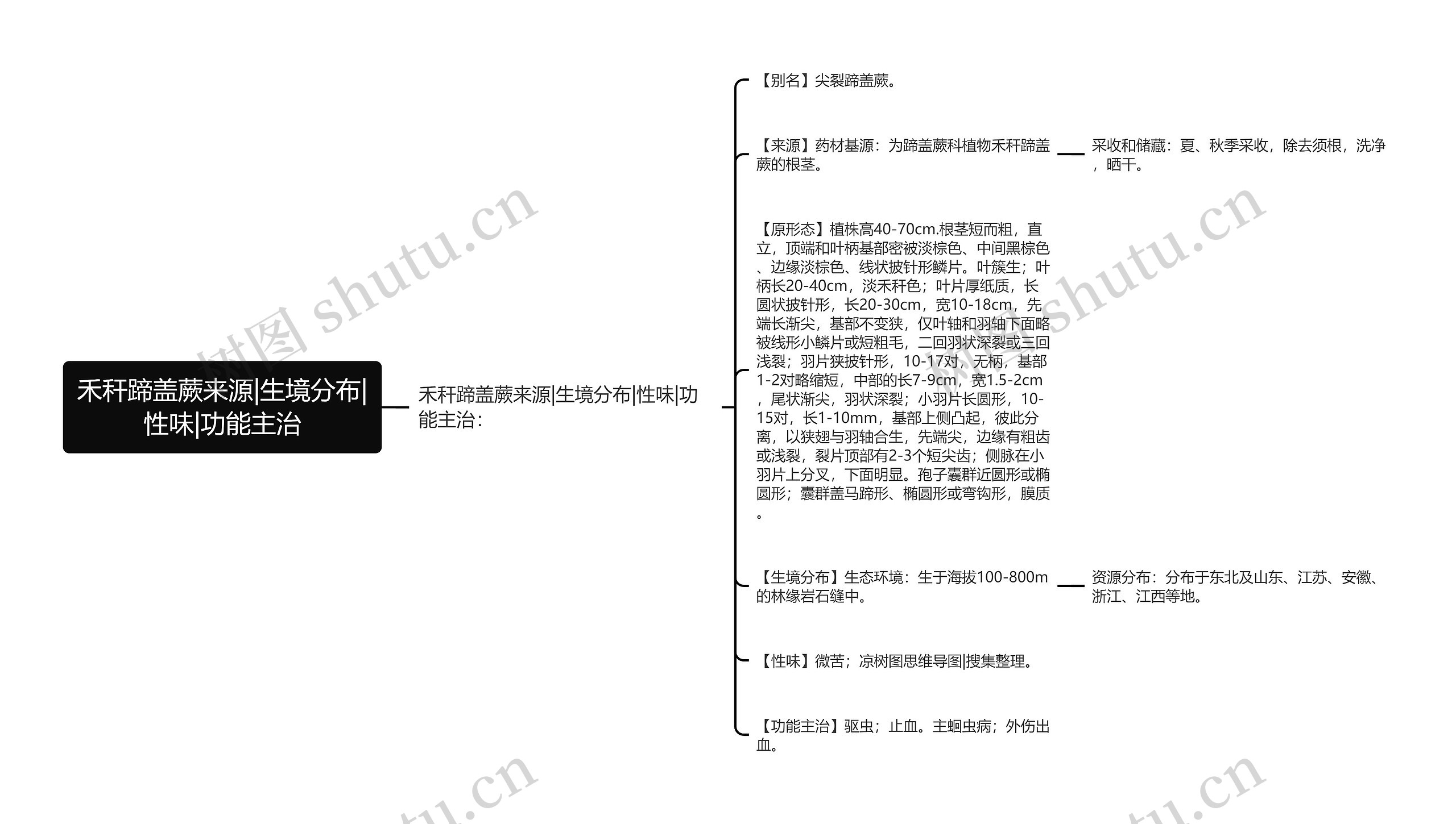 禾秆蹄盖蕨来源|生境分布|性味|功能主治思维导图