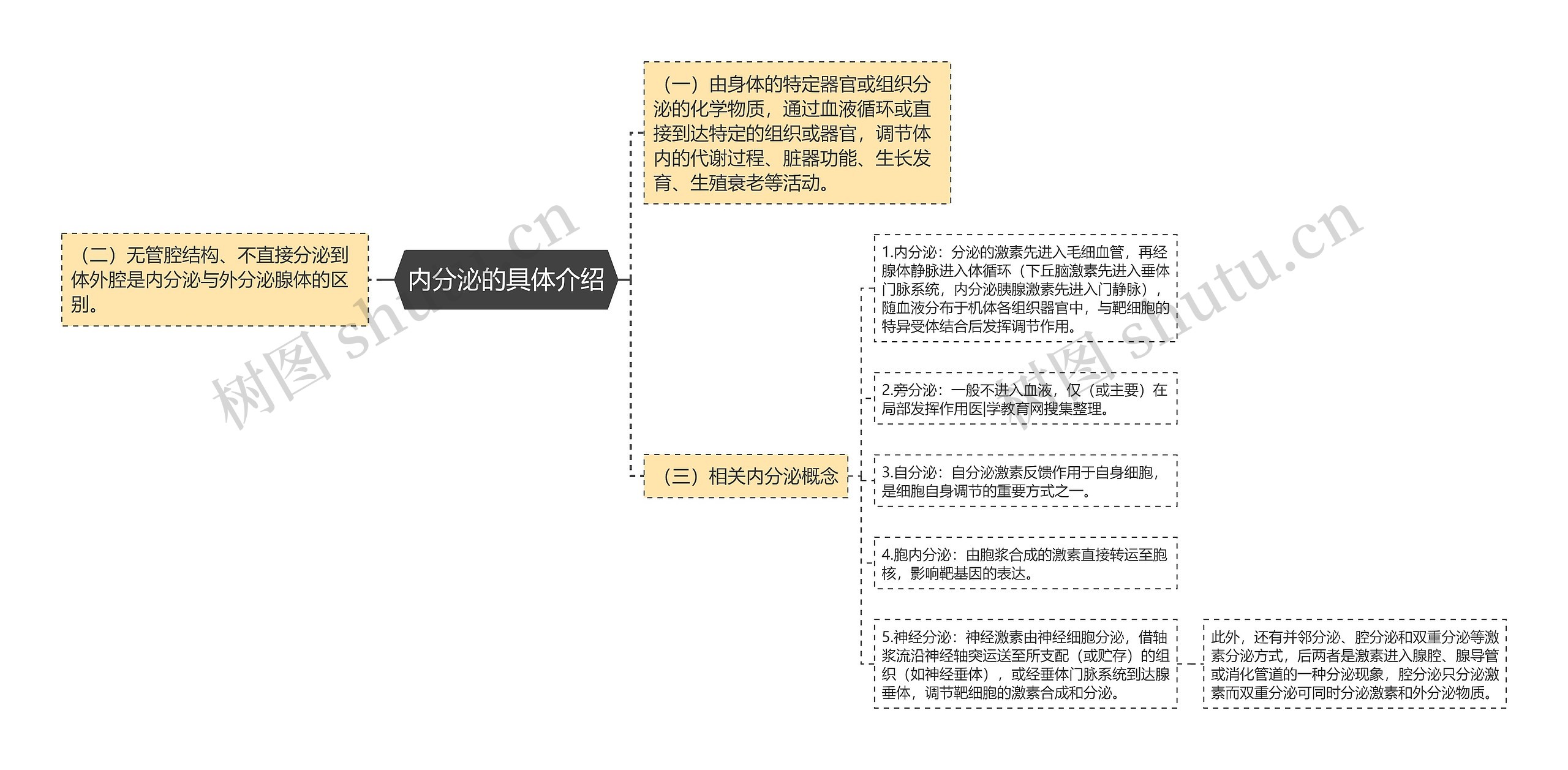 内分泌的具体介绍思维导图