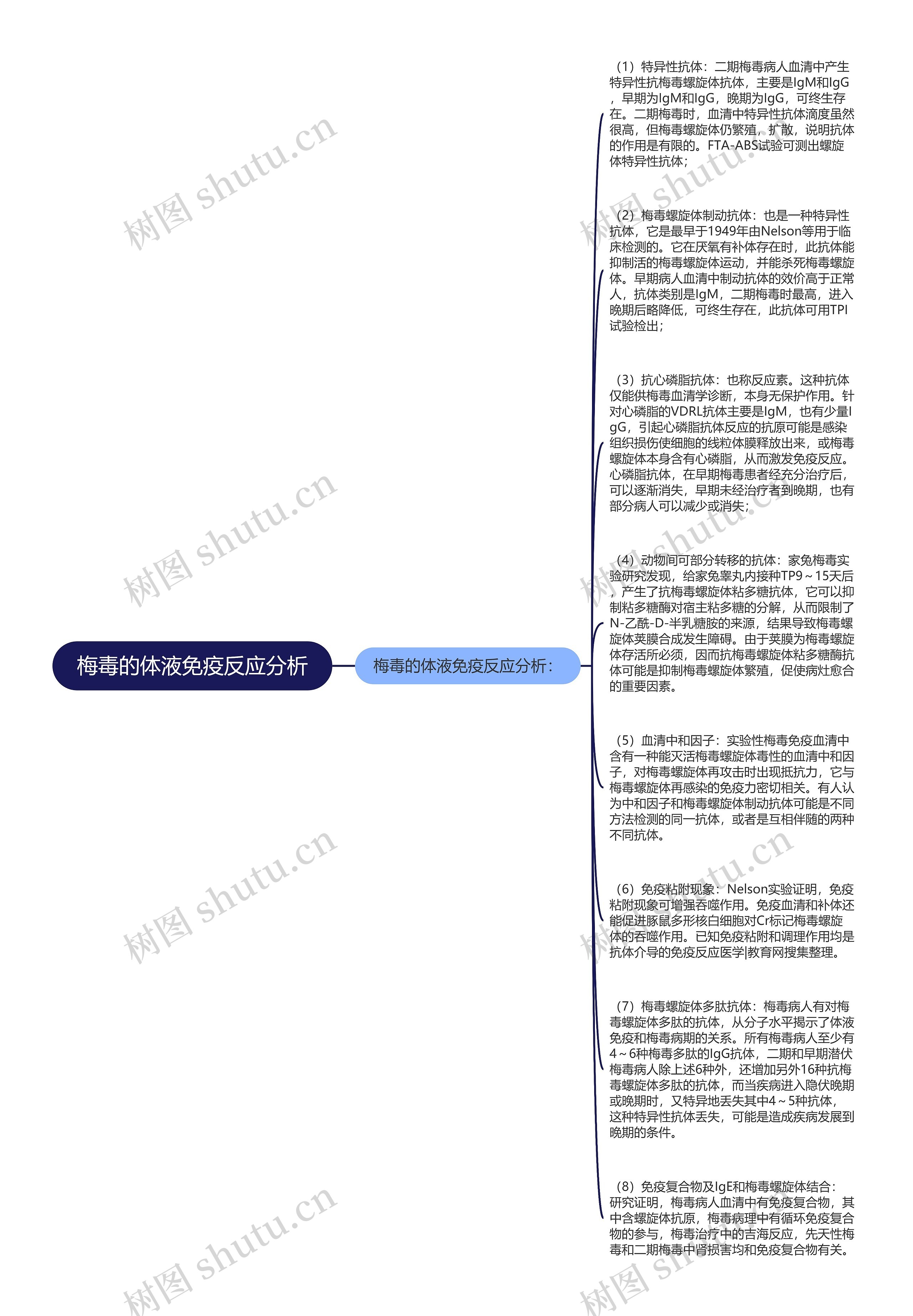 梅毒的体液免疫反应分析思维导图