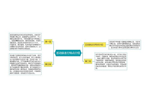 舌动脉走行特点介绍