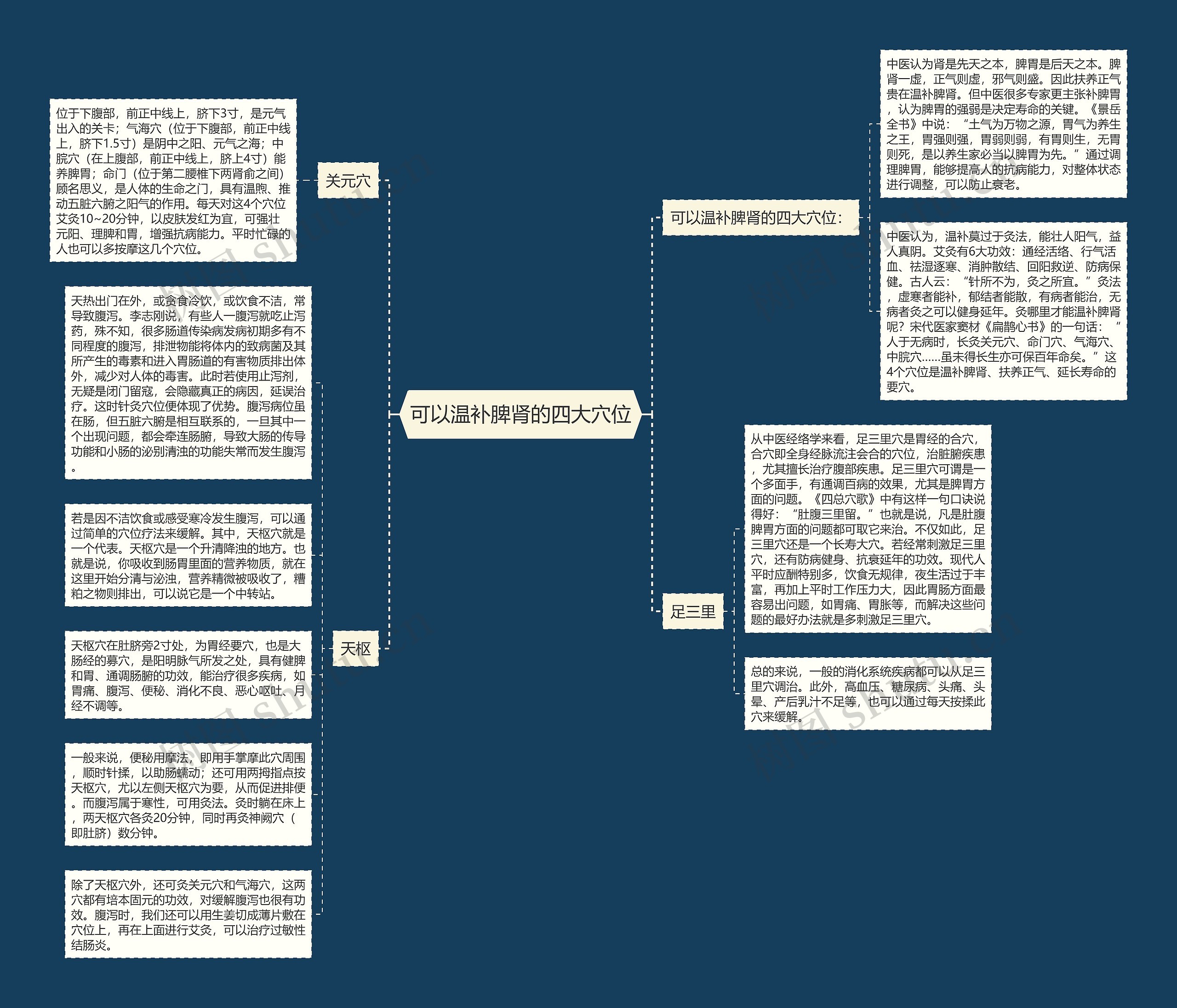 可以温补脾肾的四大穴位思维导图