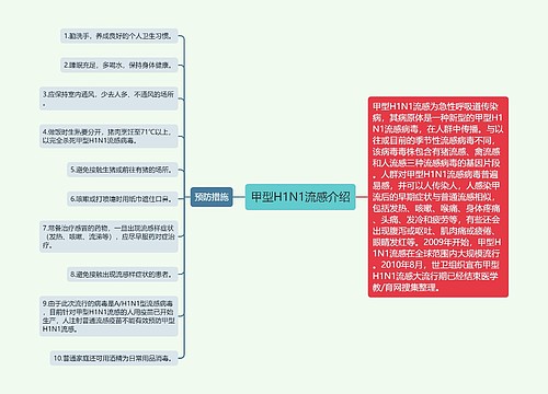 甲型H1N1流感介绍