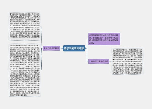 精学说的研究进展