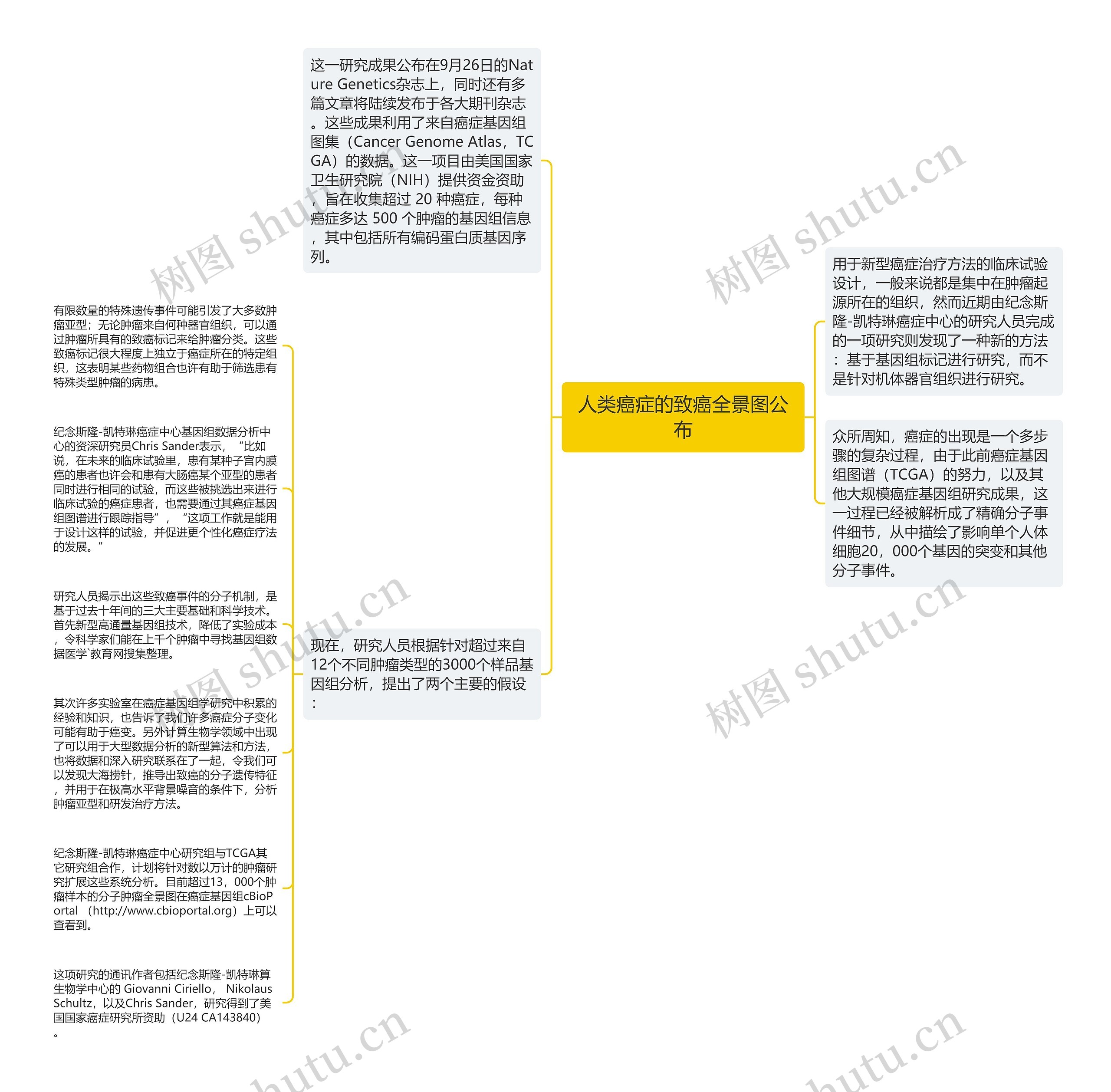 人类癌症的致癌全景图公布思维导图