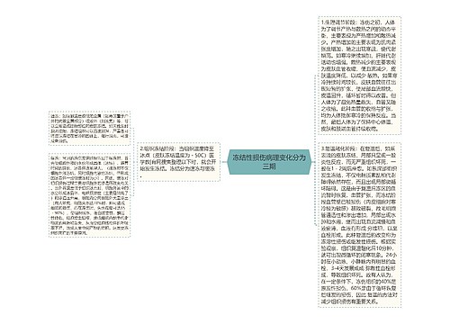 冻结性损伤病理变化分为三期