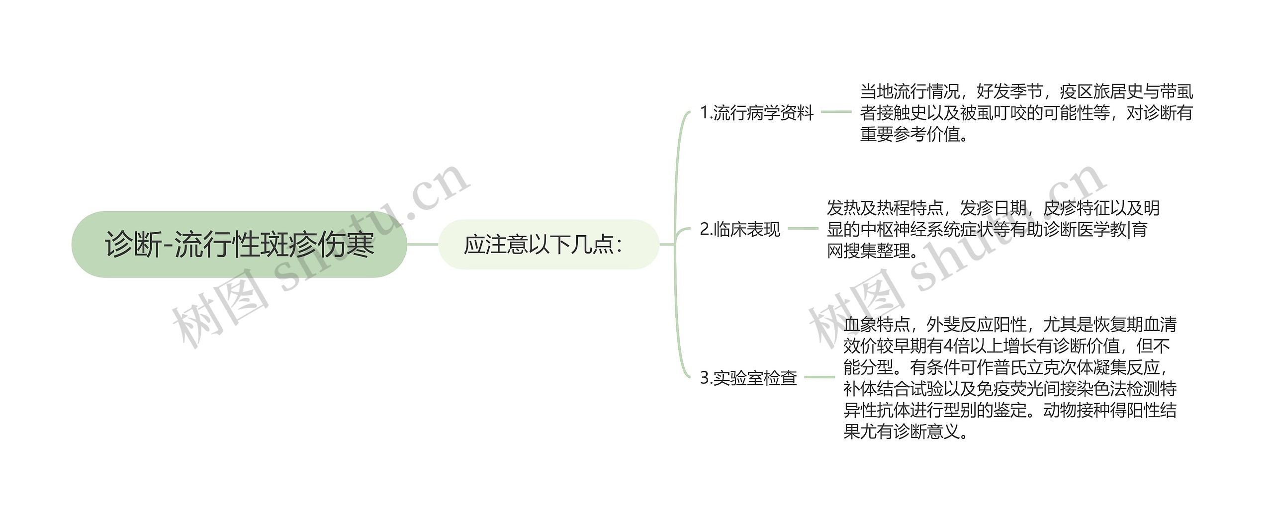 诊断-流行性斑疹伤寒思维导图