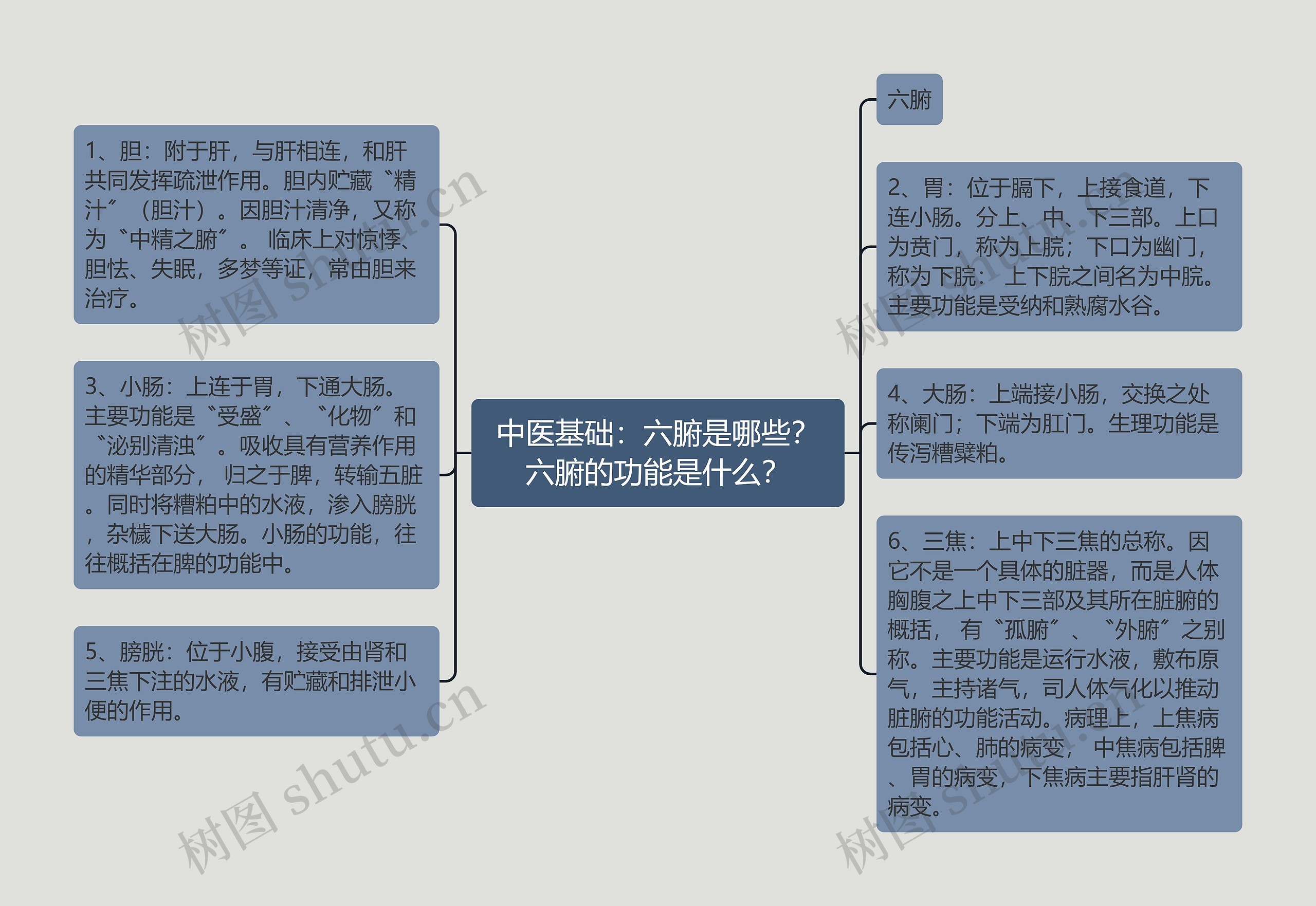 中医基础：六腑是哪些？六腑的功能是什么？