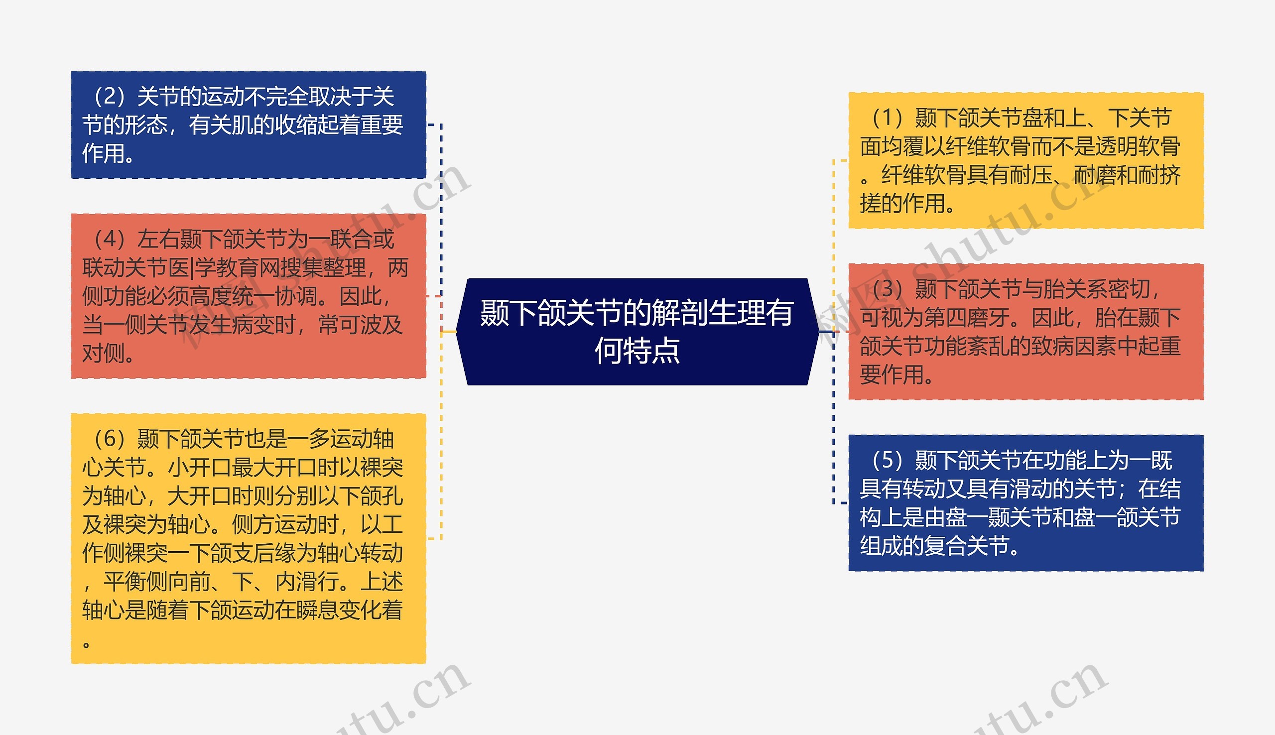 颞下颌关节的解剖生理有何特点