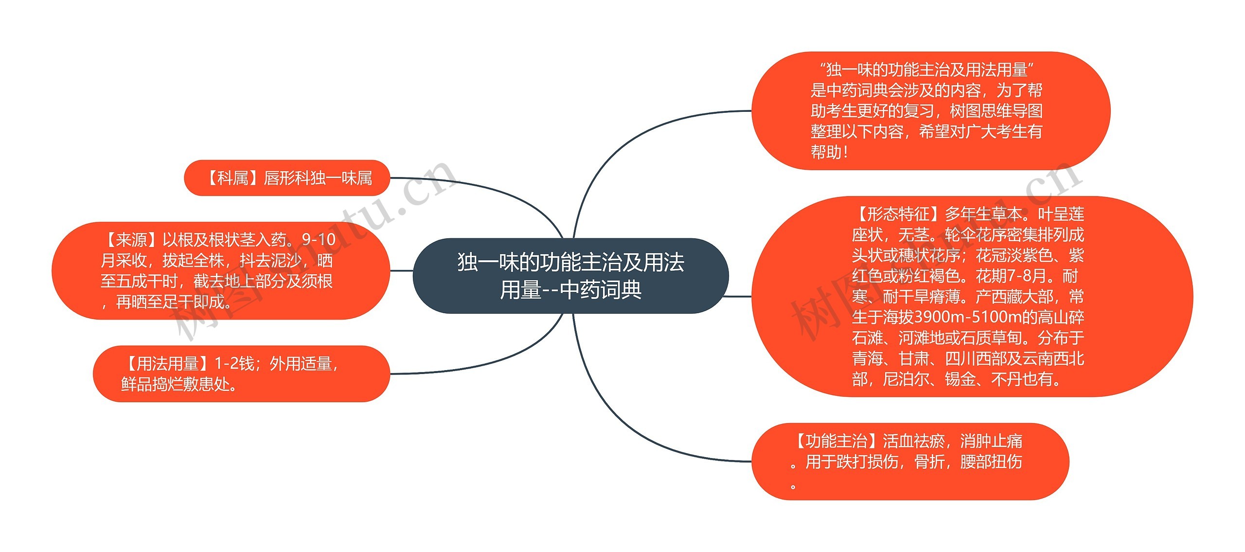 独一味的功能主治及用法用量--中药词典 独一味的功能主治及用法用量--中药词典