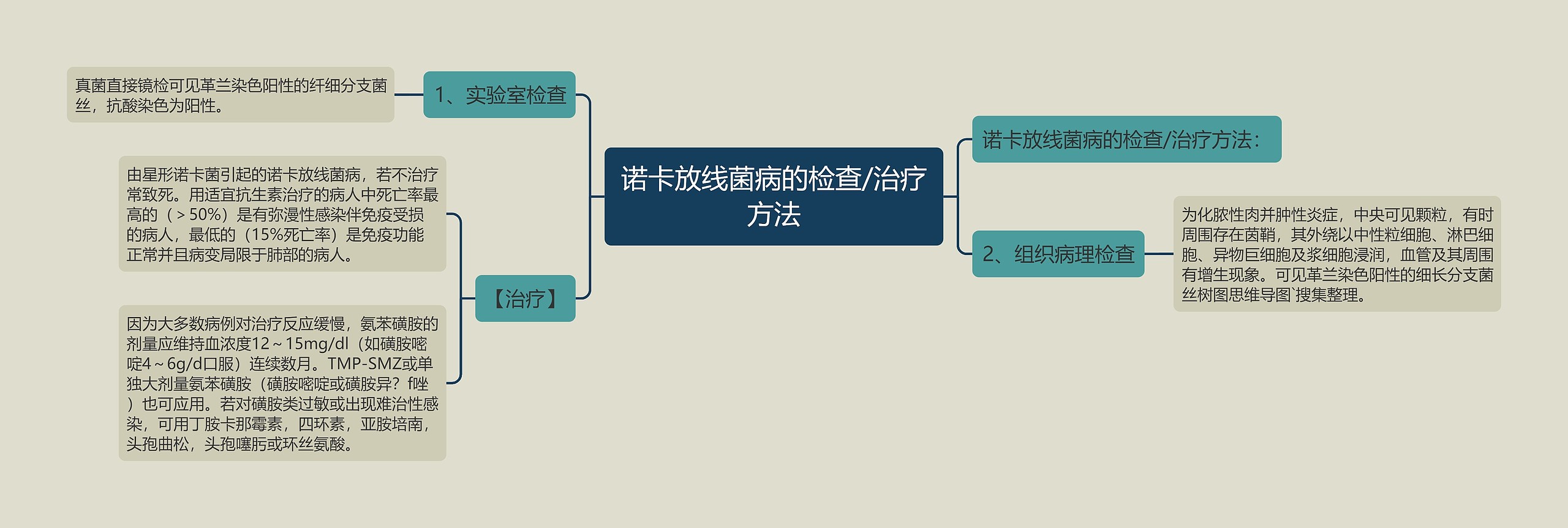 诺卡放线菌病的检查/治疗方法思维导图