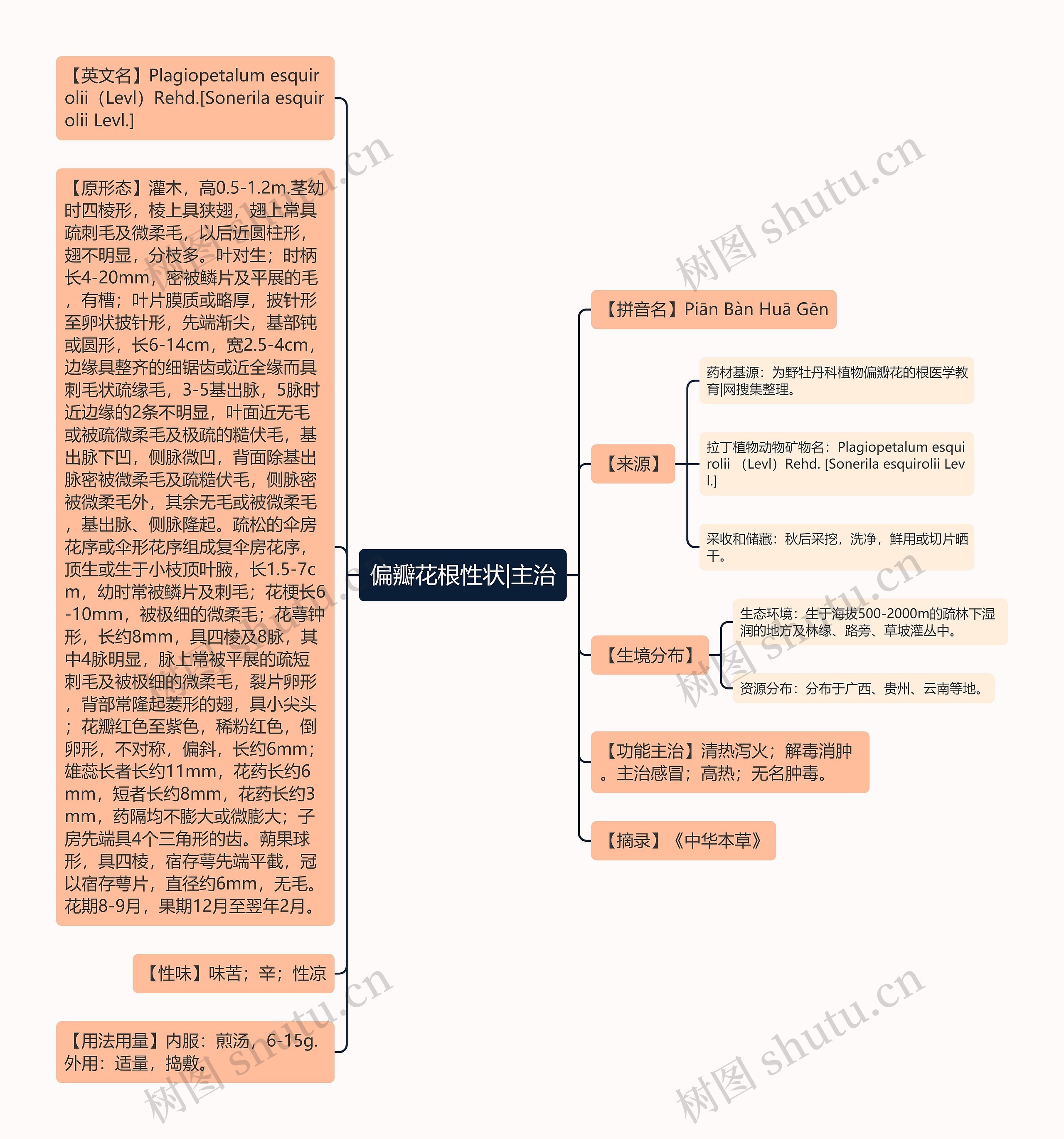 偏瓣花根性状|主治思维导图