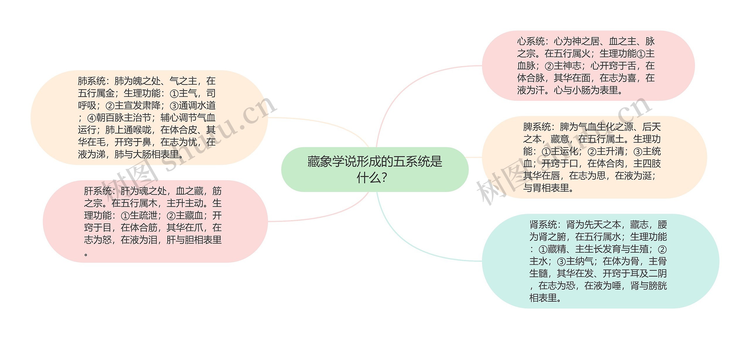 藏象学说形成的五系统是什么？思维导图