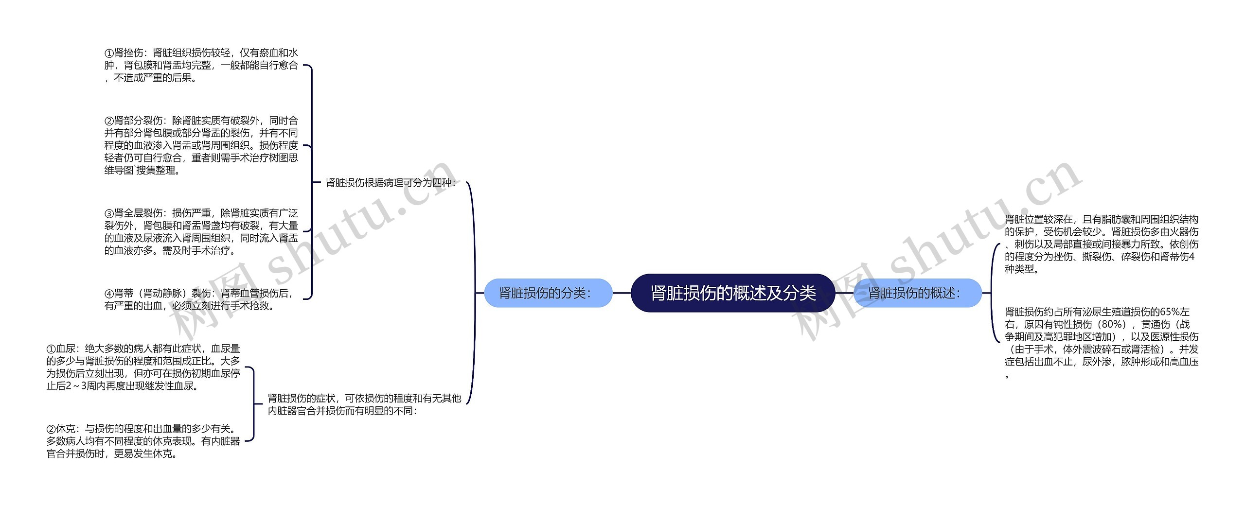 肾脏损伤的概述及分类思维导图