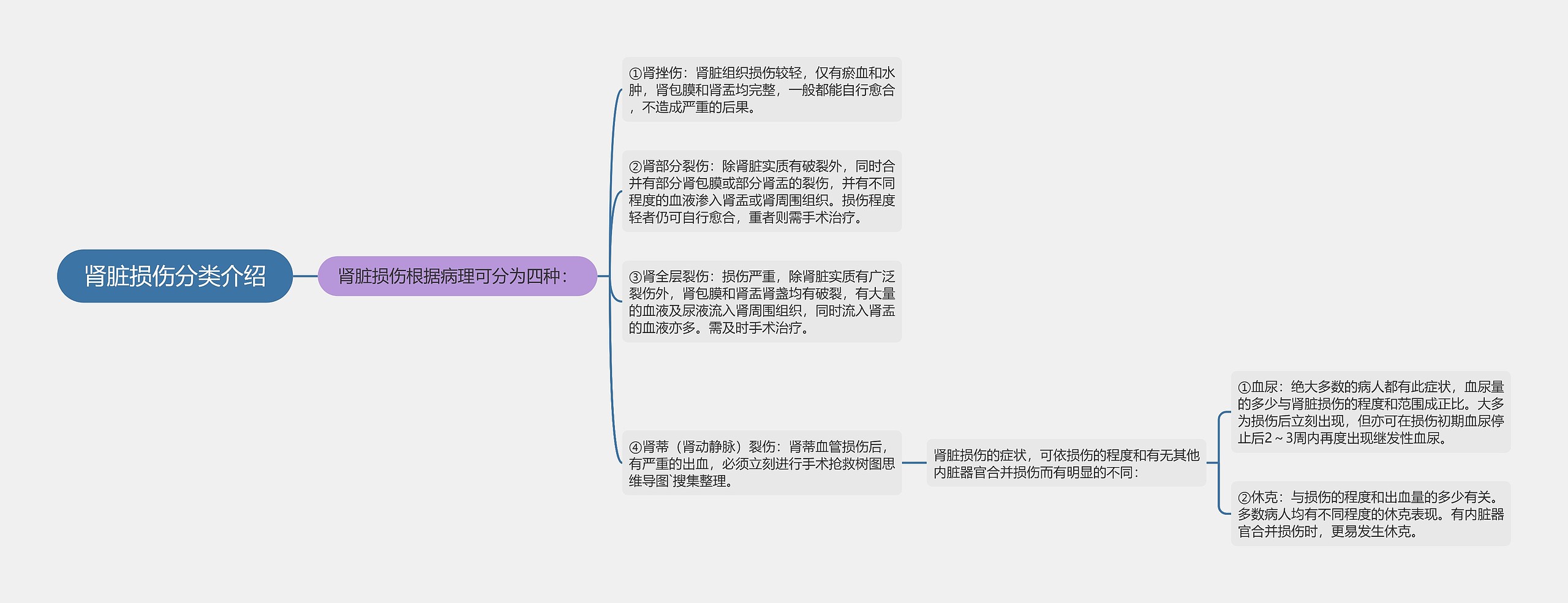 肾脏损伤分类介绍思维导图