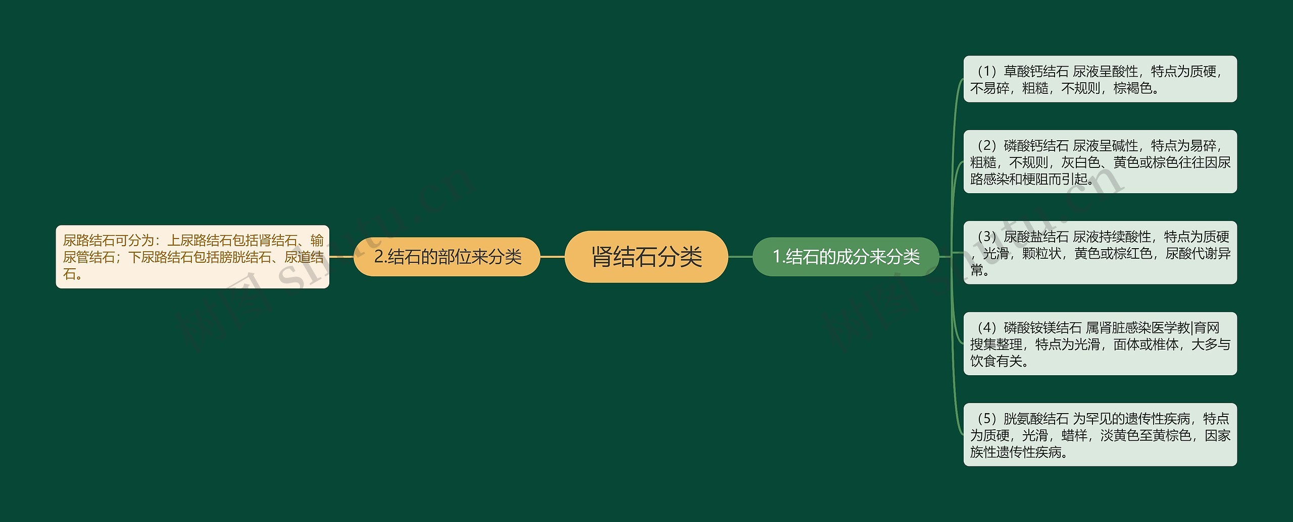 肾结石分类 肾结石分类