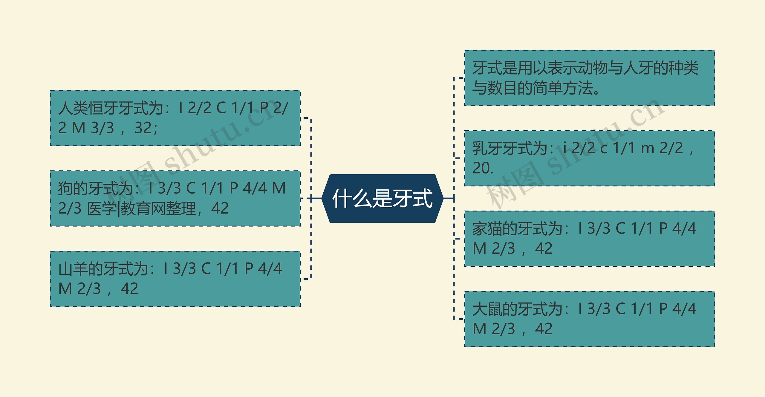 什么是牙式