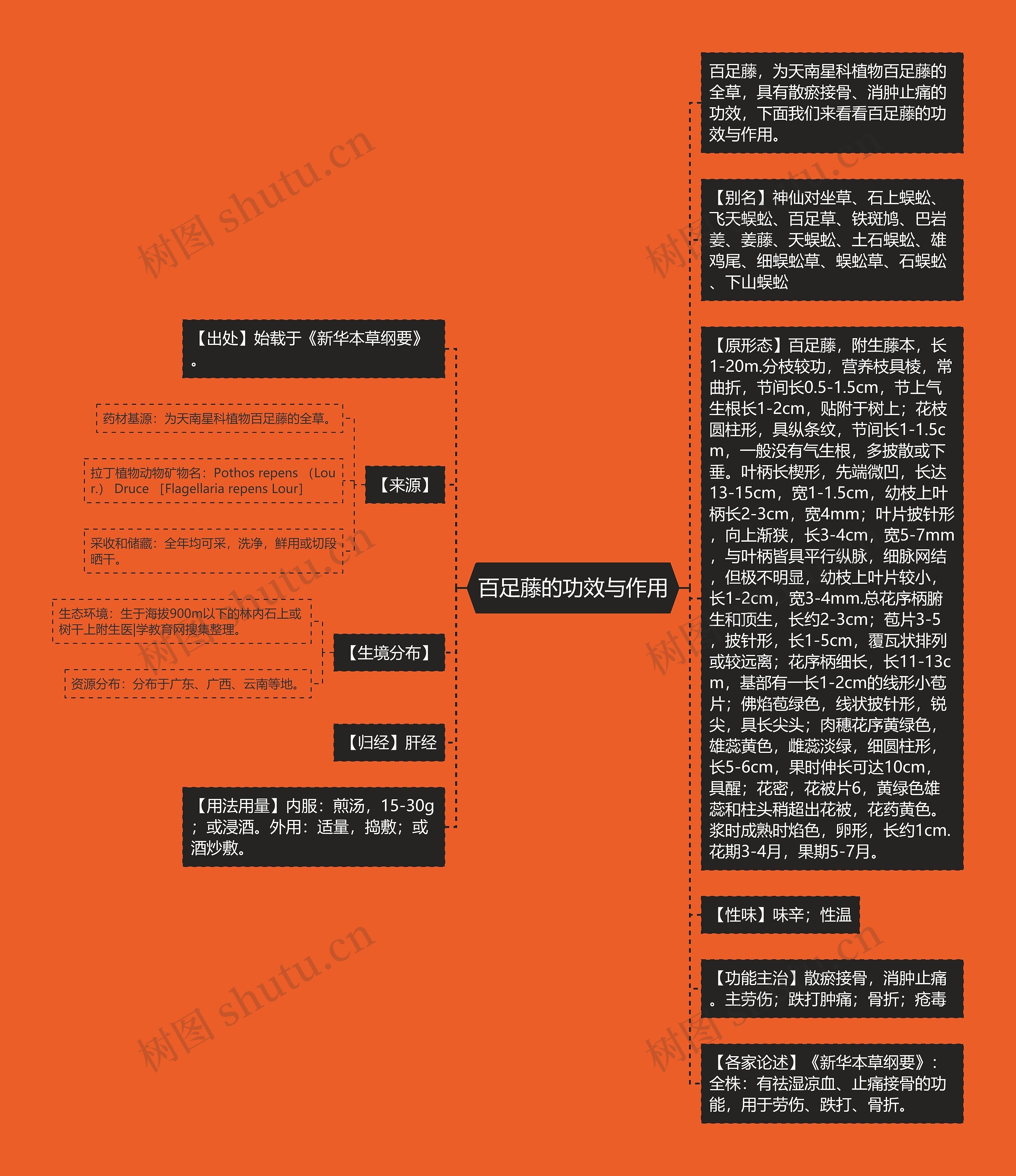 百足藤的功效与作用思维导图