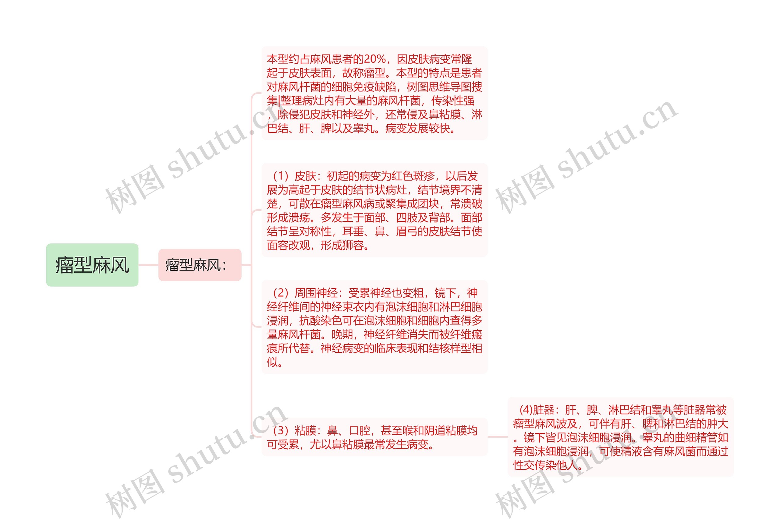瘤型麻风思维导图