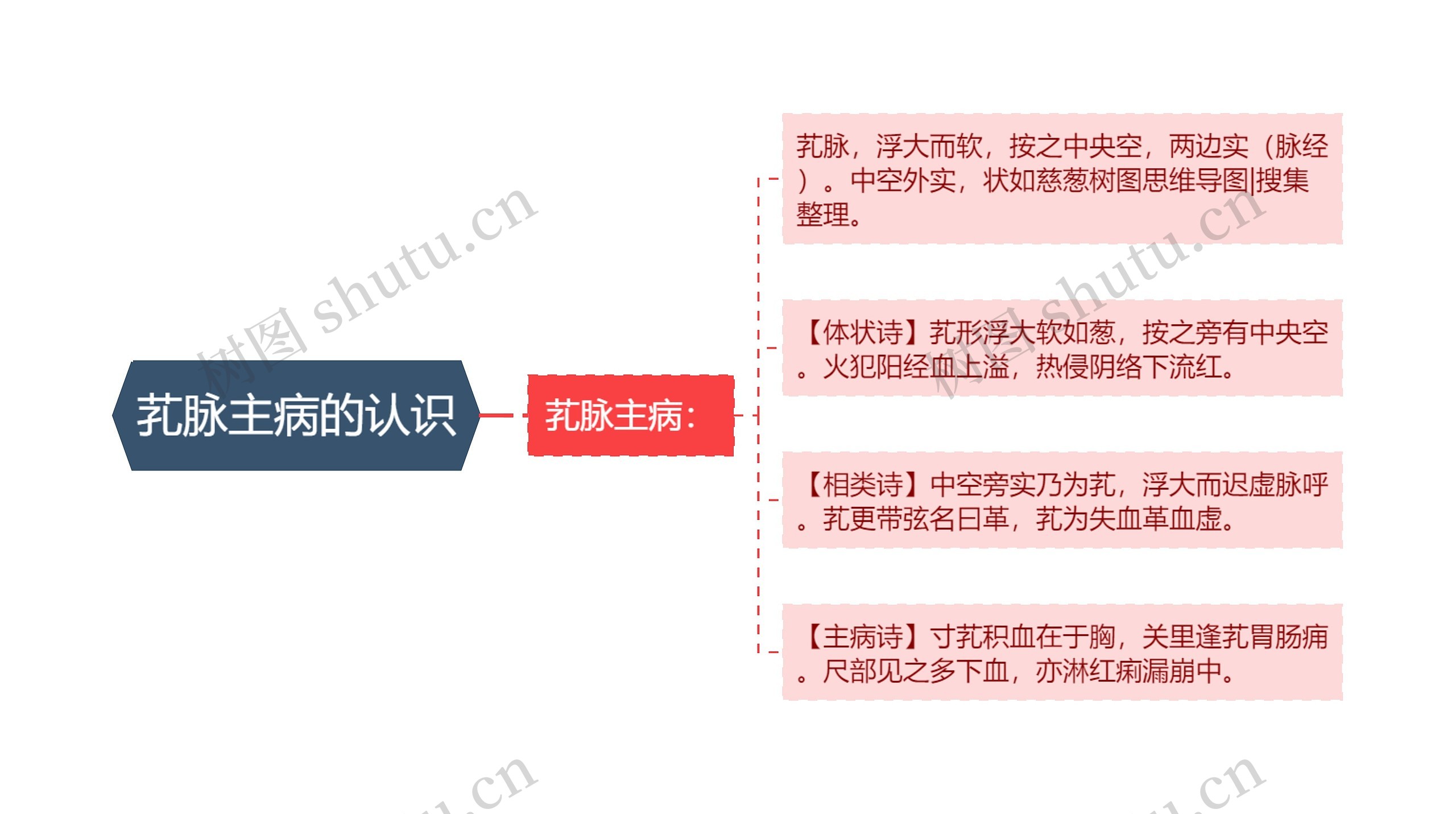 芤脉主病的认识 芤脉主病的认识