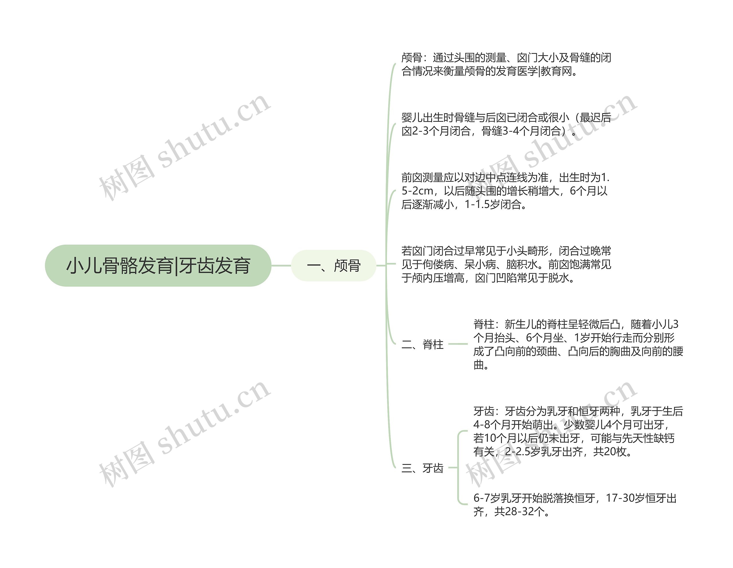 小儿骨骼发育|牙齿发育 小儿骨骼发育|牙齿发育