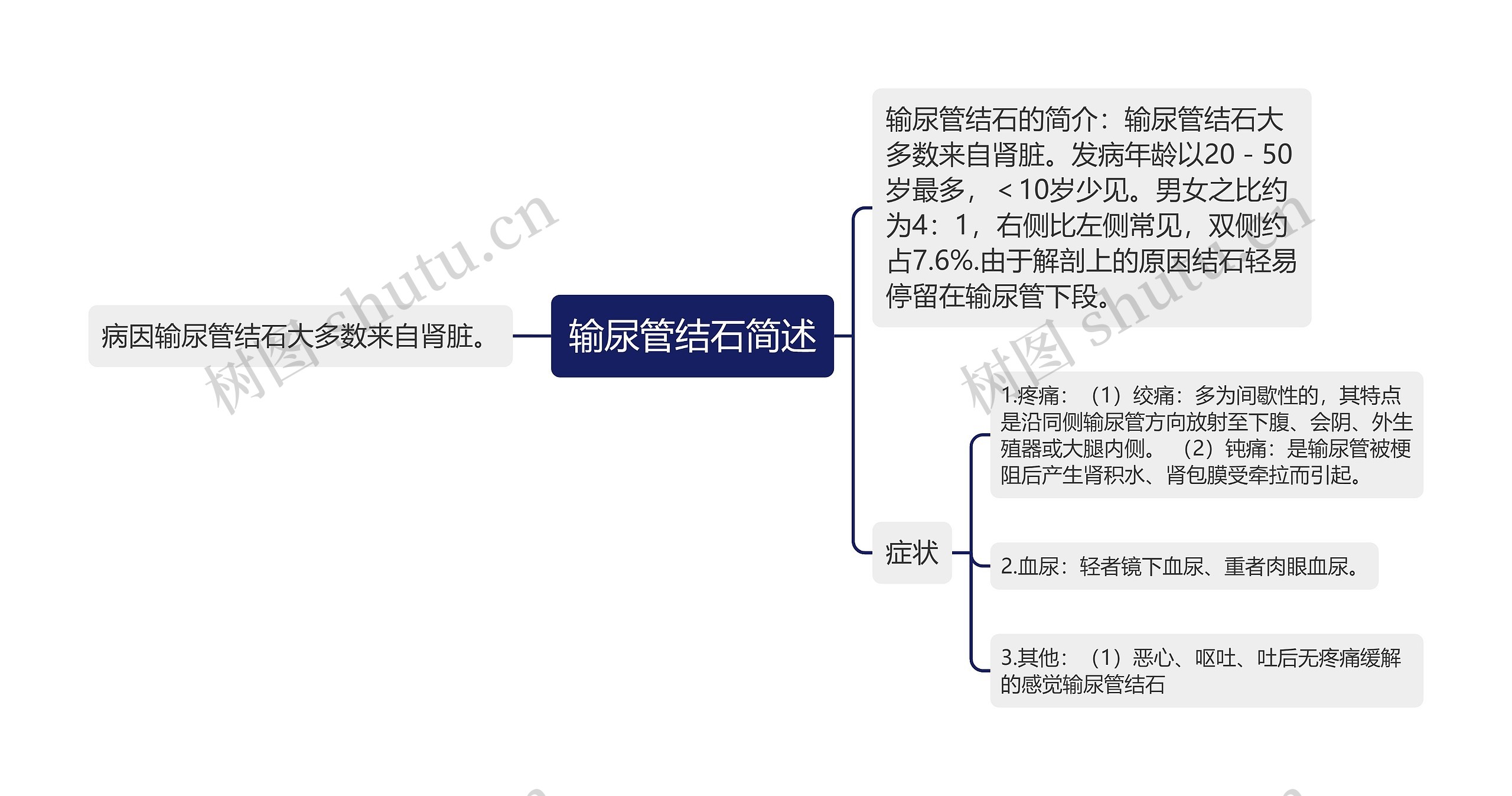 输尿管结石简述思维导图