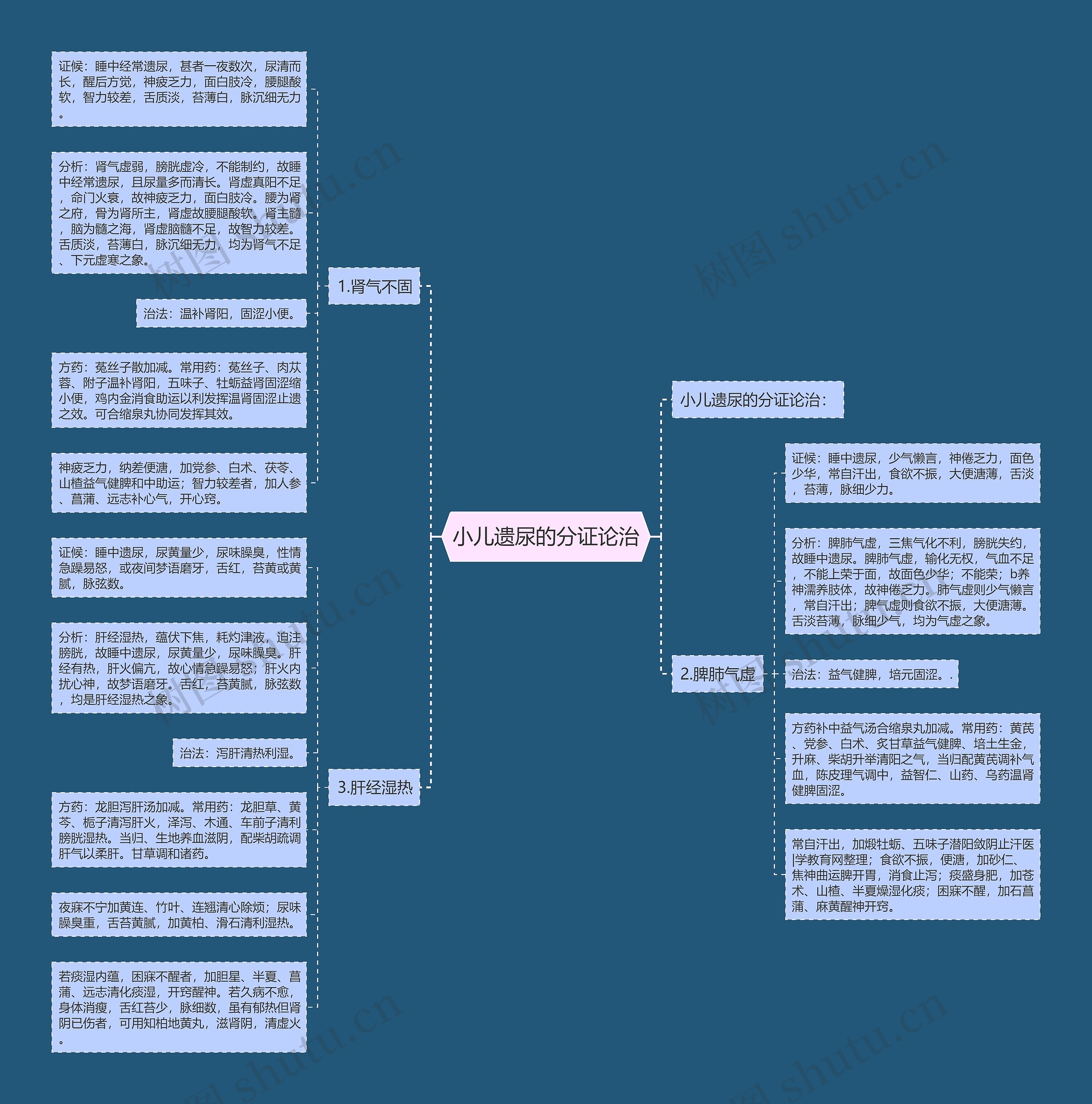 小儿遗尿的分证论治思维导图