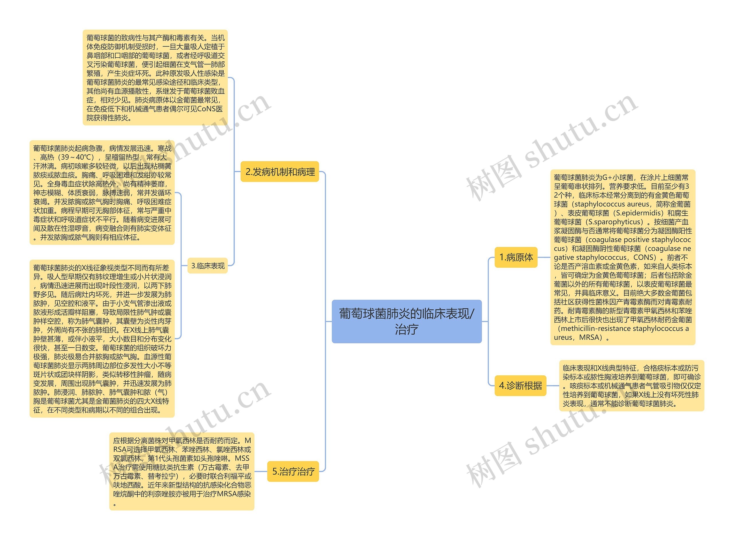 葡萄球菌肺炎的临床表现/治疗思维导图