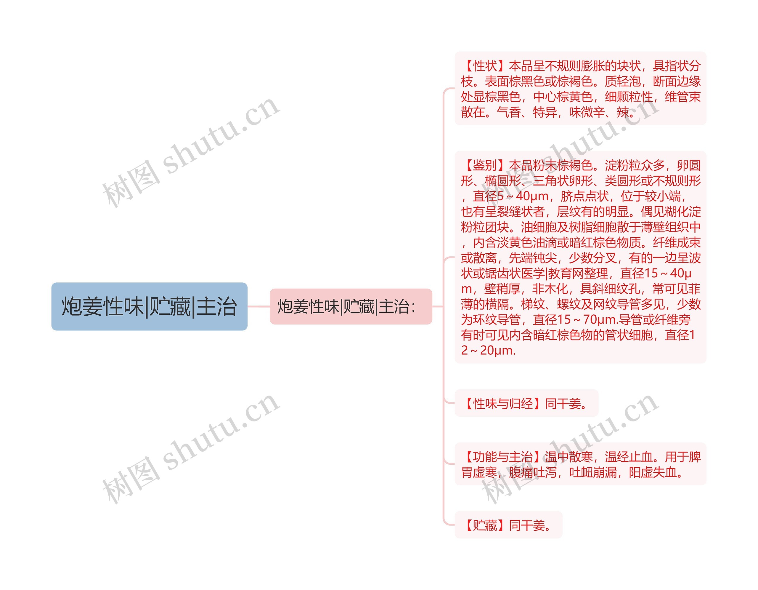 炮姜性味|贮藏|主治思维导图