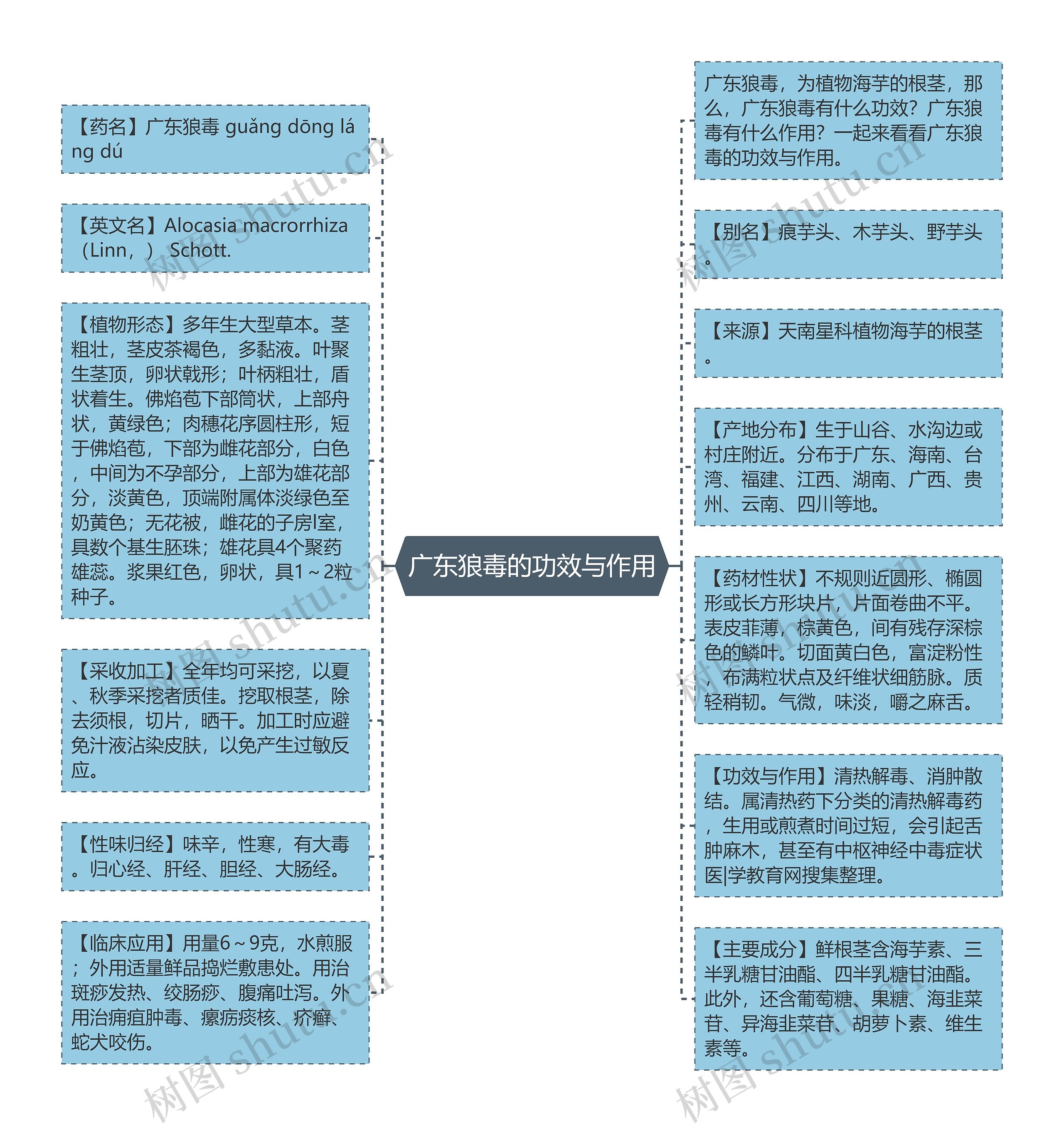 广东狼毒的功效与作用思维导图