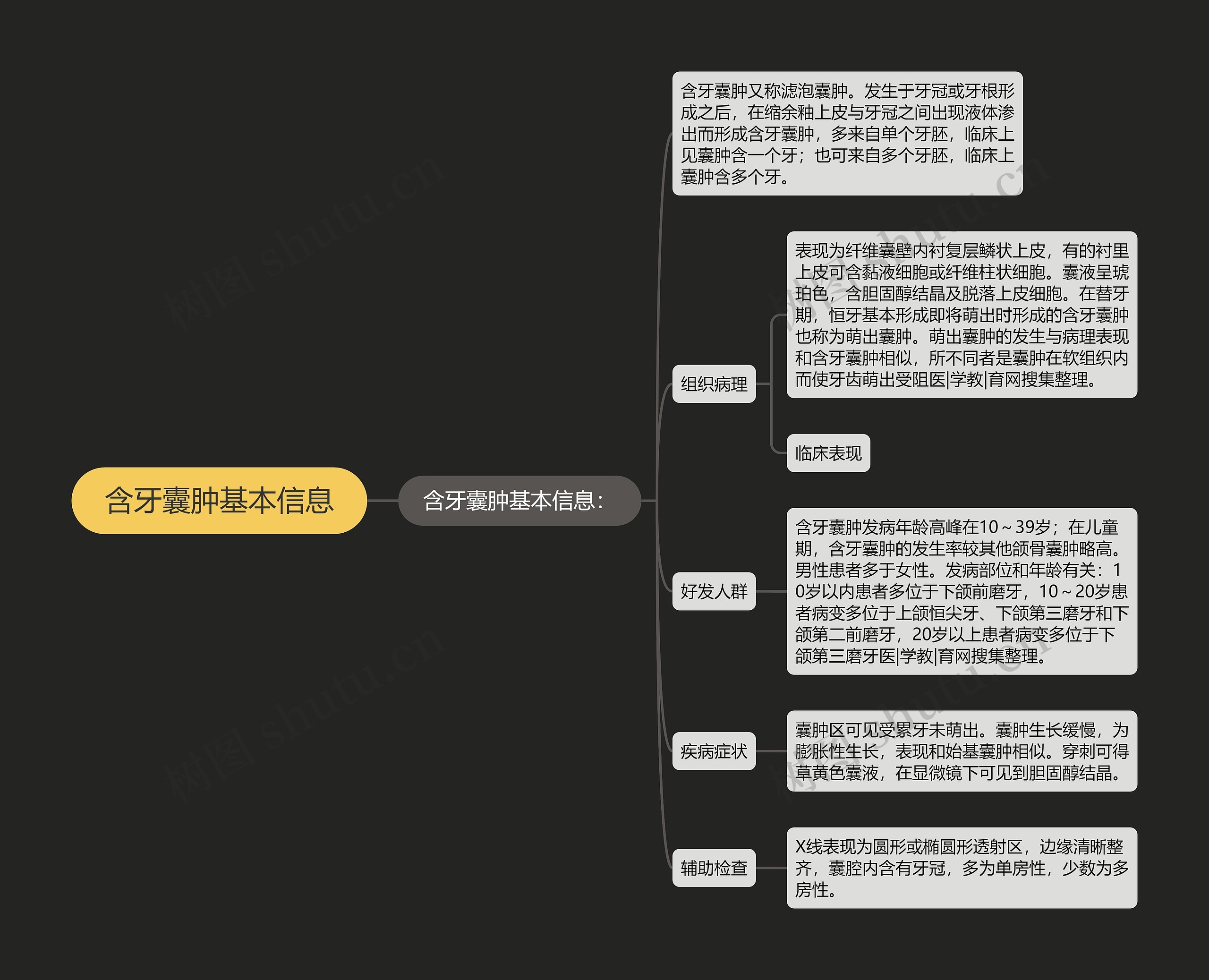 含牙囊肿基本信息 含牙囊肿基本信息