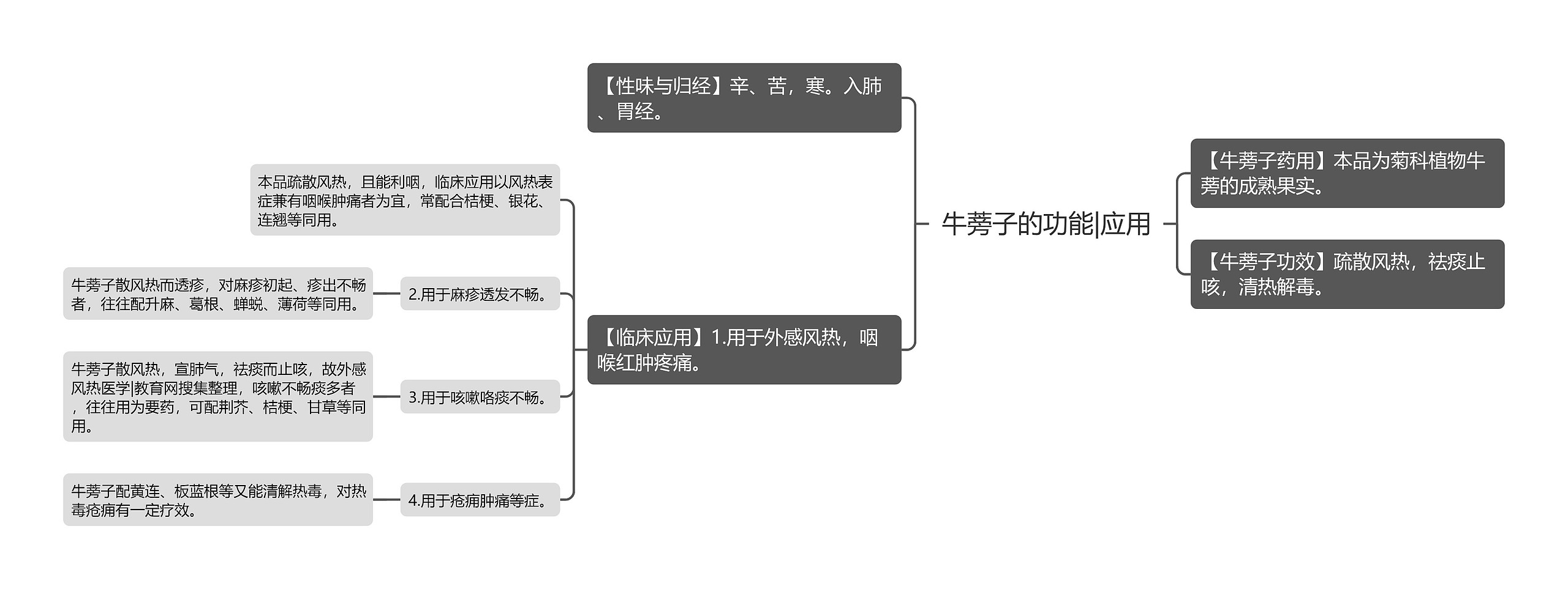 牛蒡子的功能|应用思维导图