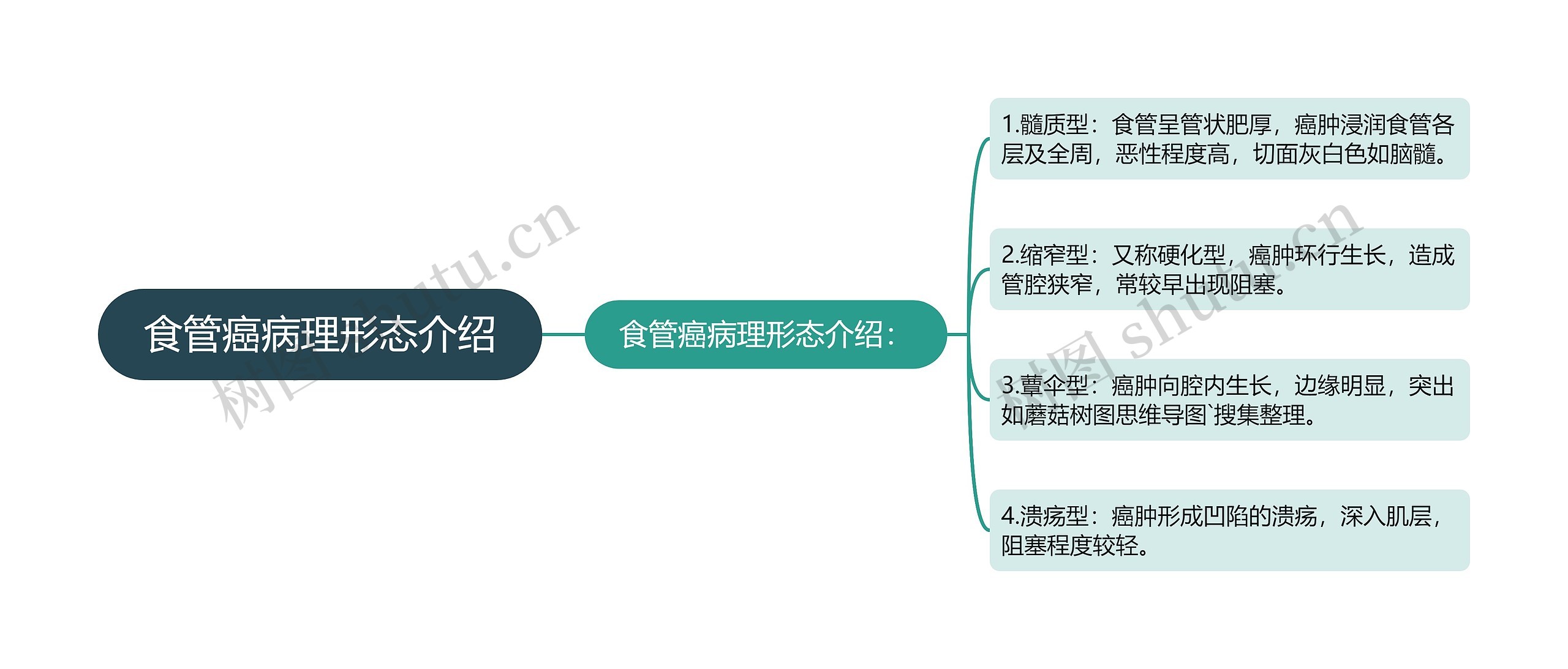 食管癌病理形态介绍