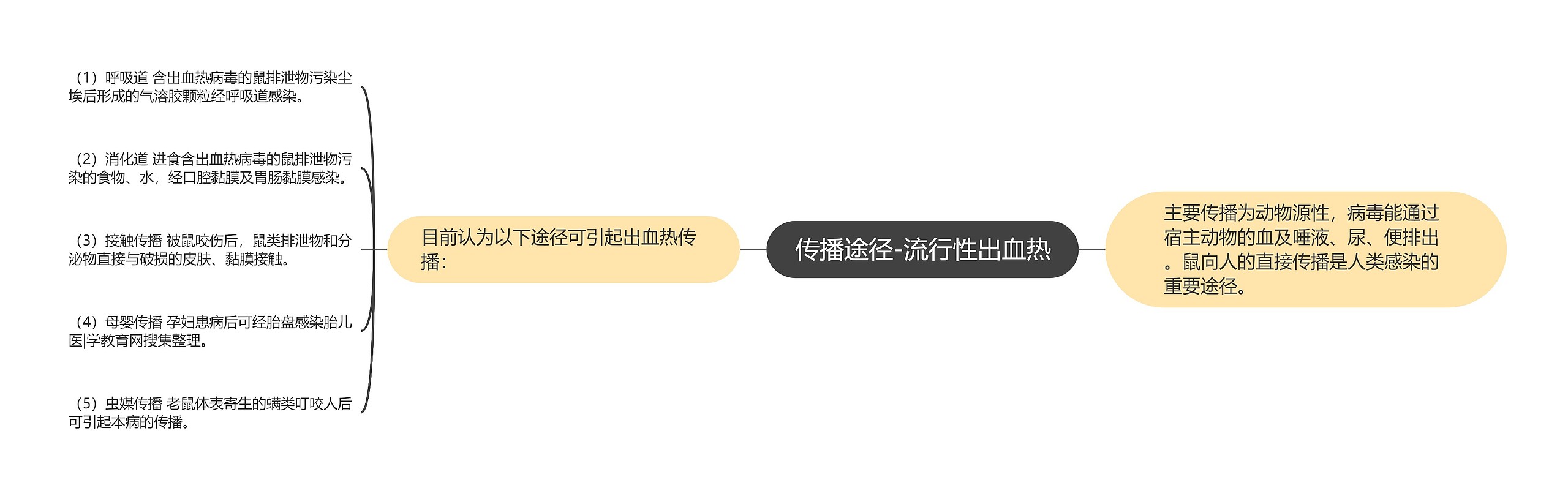 传播途径-流行性出血热 传播途径-流行性出血热