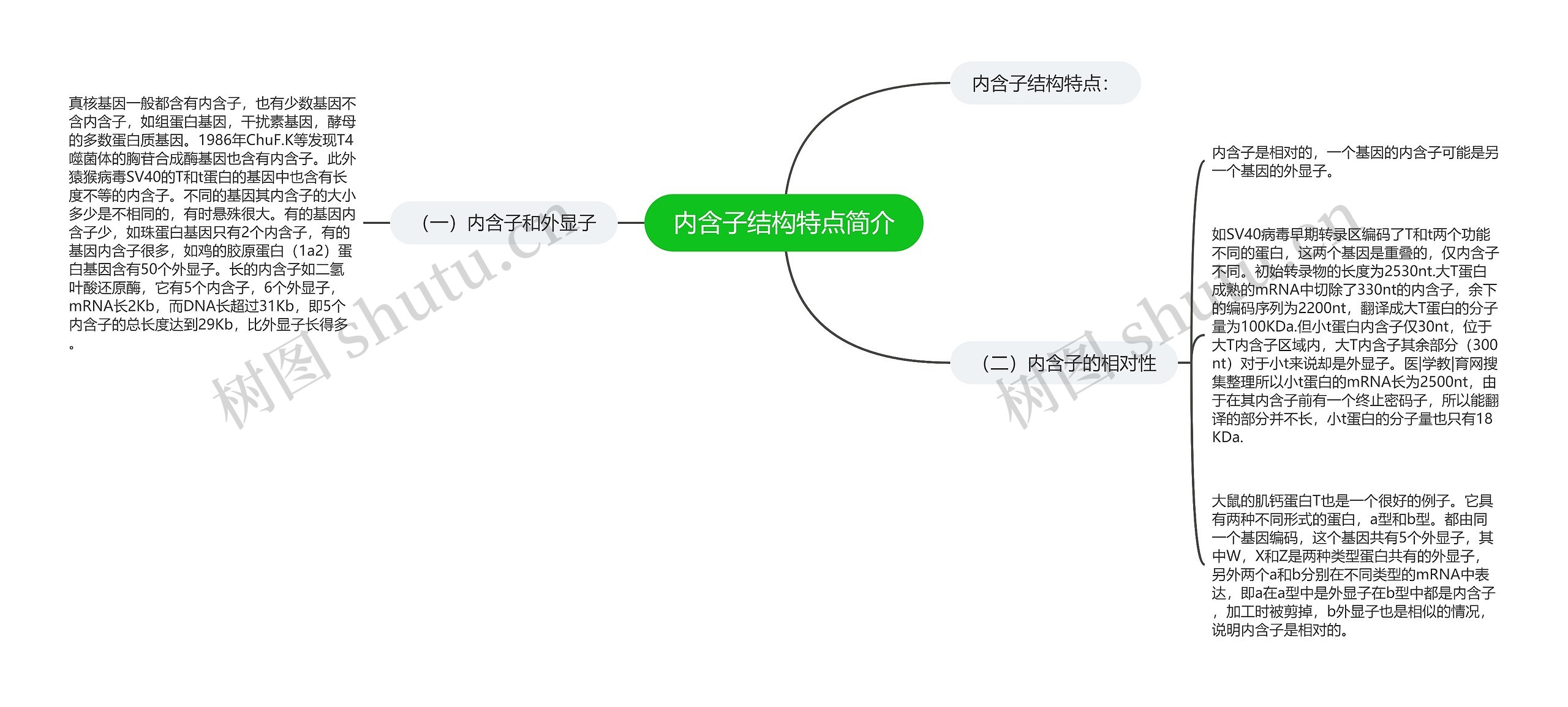 内含子结构特点简介 内含子结构特点简介