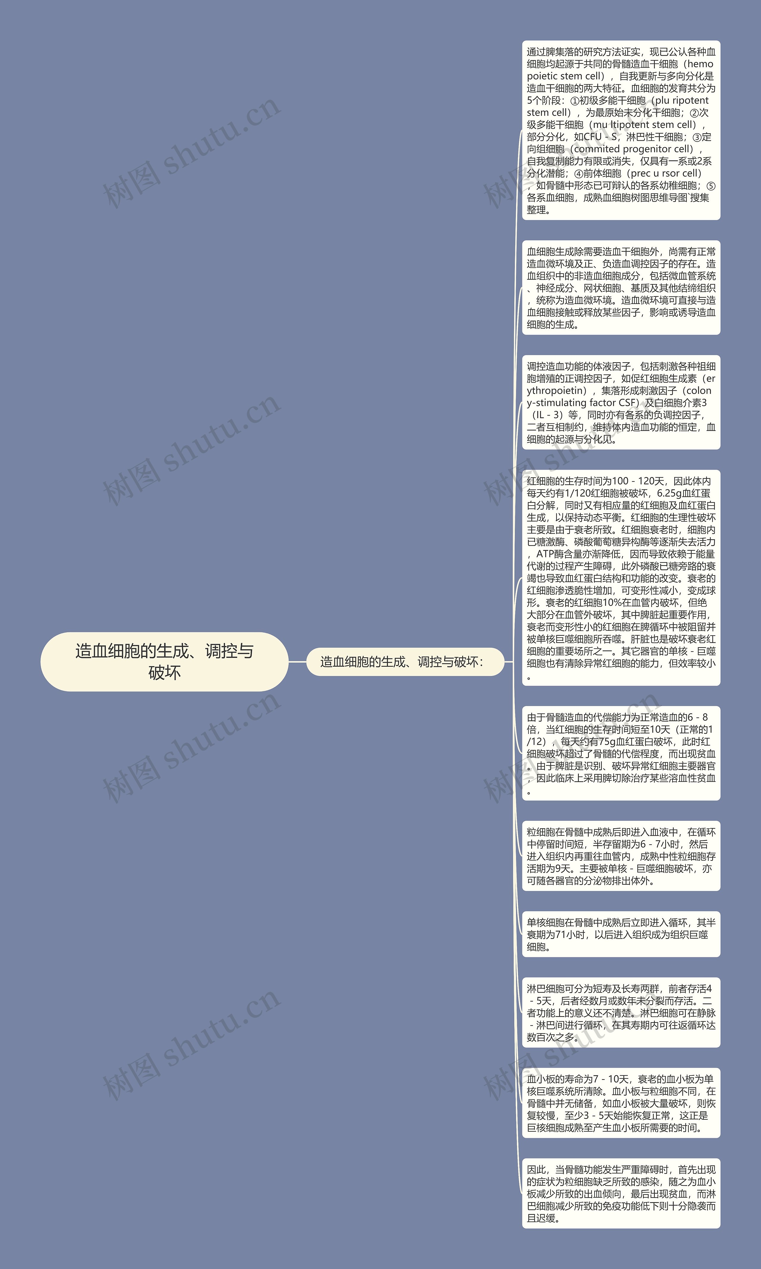 造血细胞的生成、调控与破坏