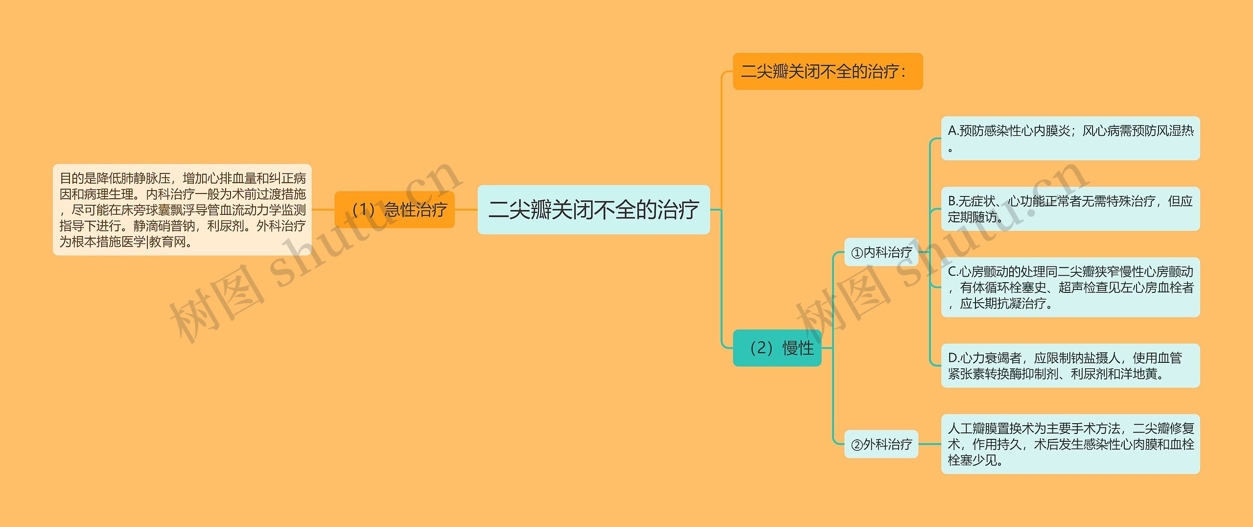 二尖瓣关闭不全的治疗思维导图