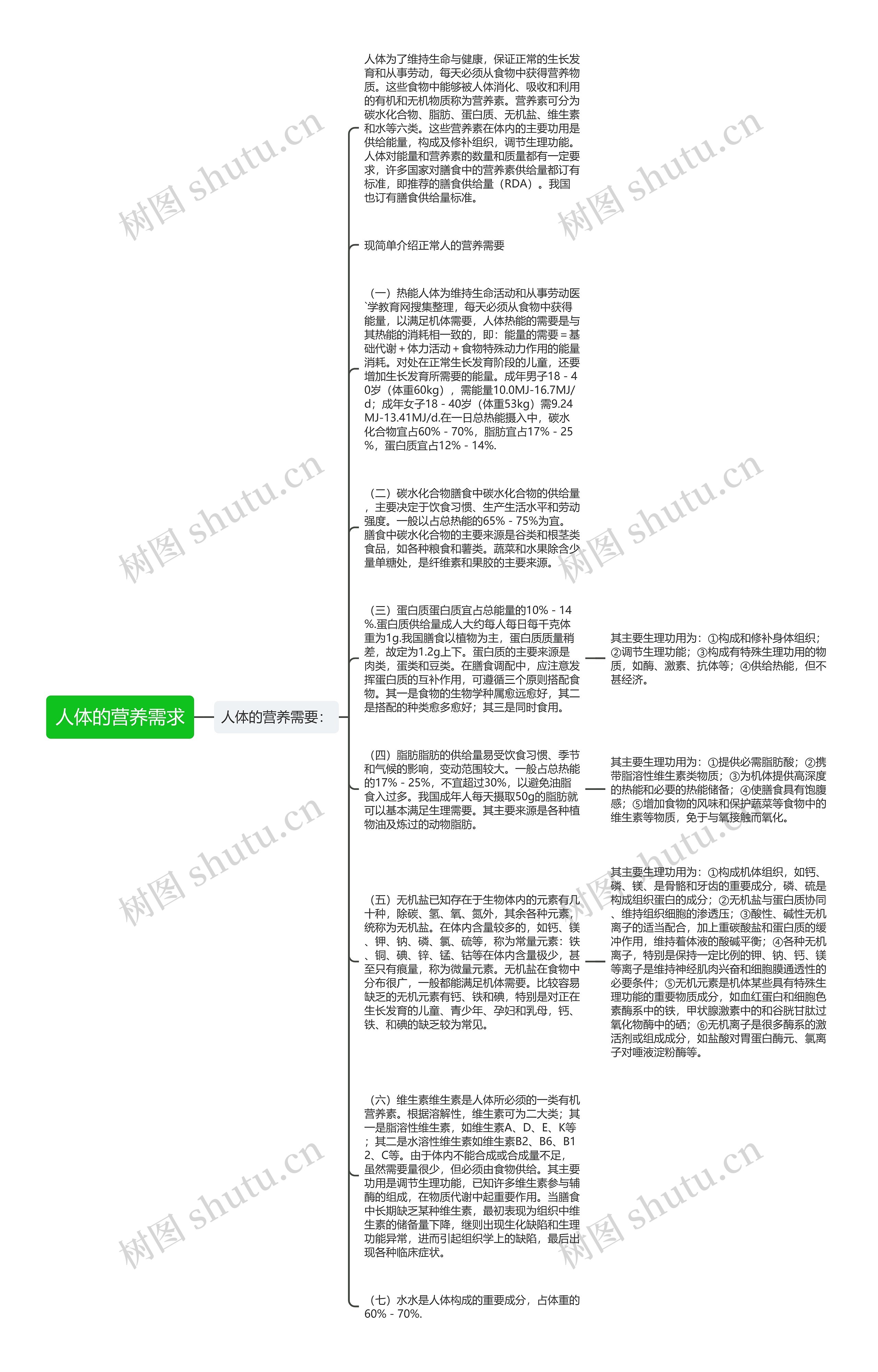 人体的营养需求思维导图