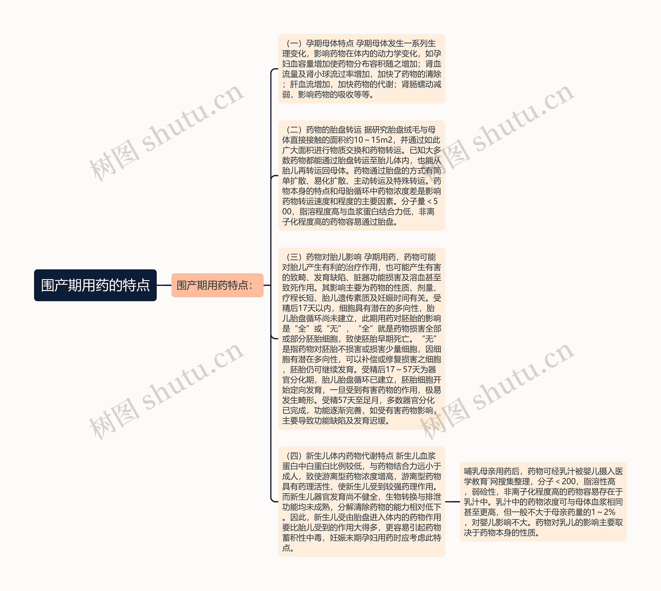 围产期用药的特点思维导图