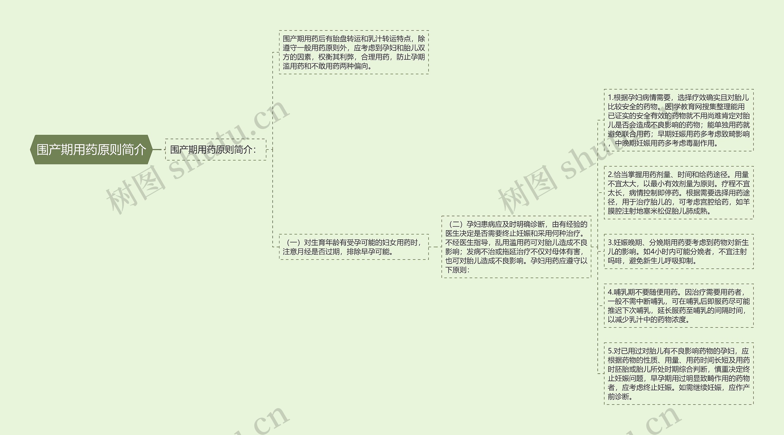 围产期用药原则简介思维导图