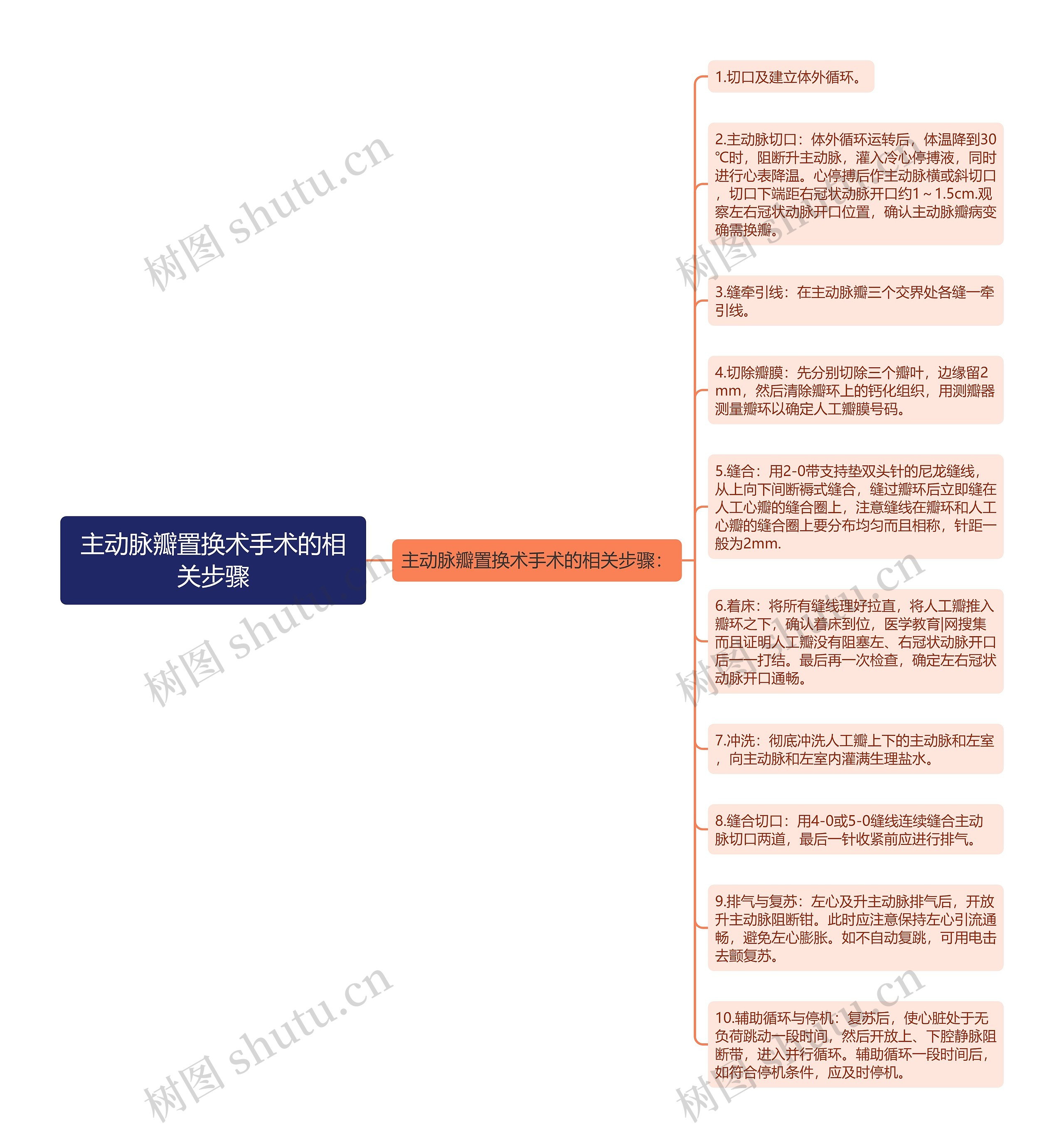 主动脉瓣置换术手术的相关步骤思维导图