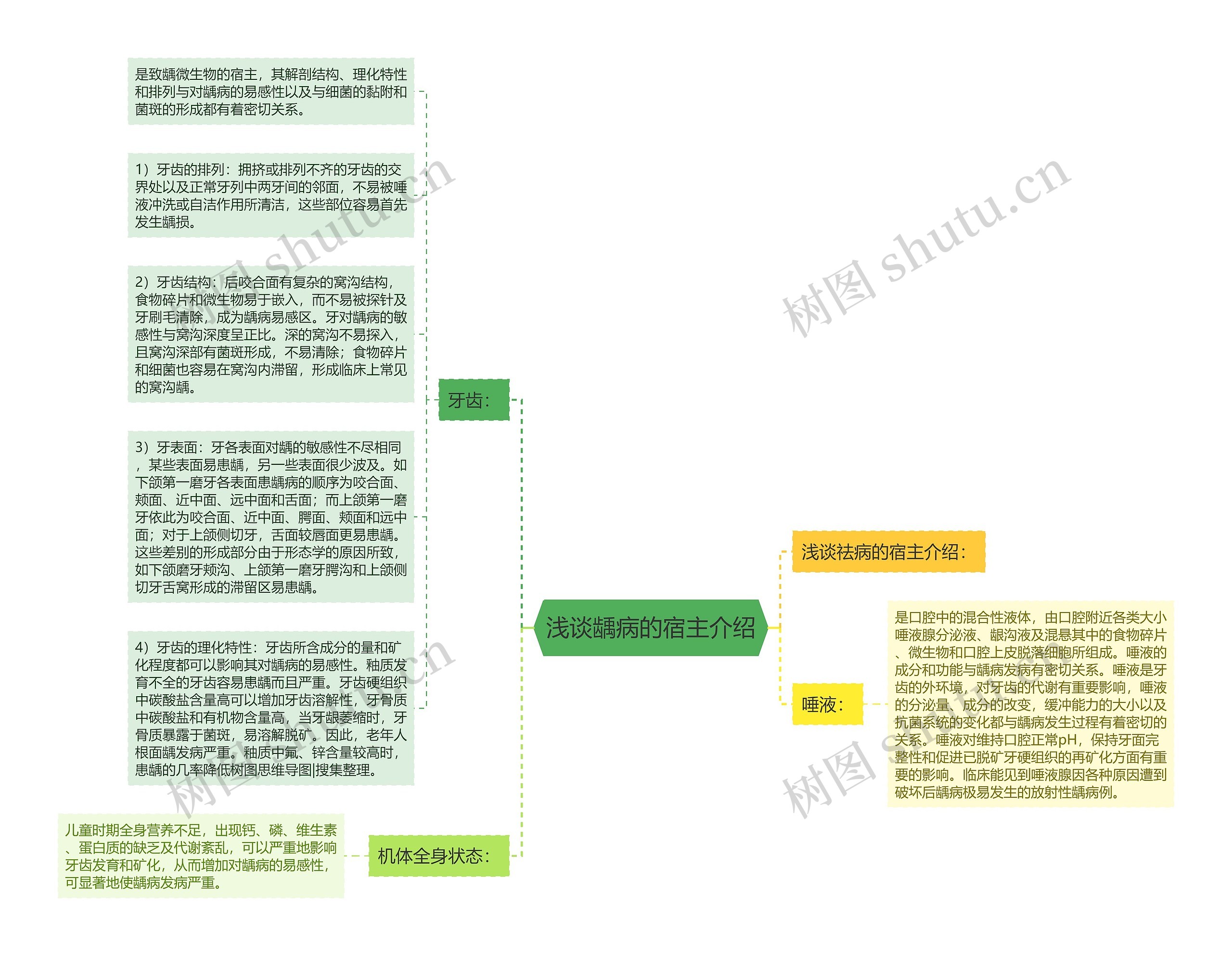 浅谈龋病的宿主介绍思维导图