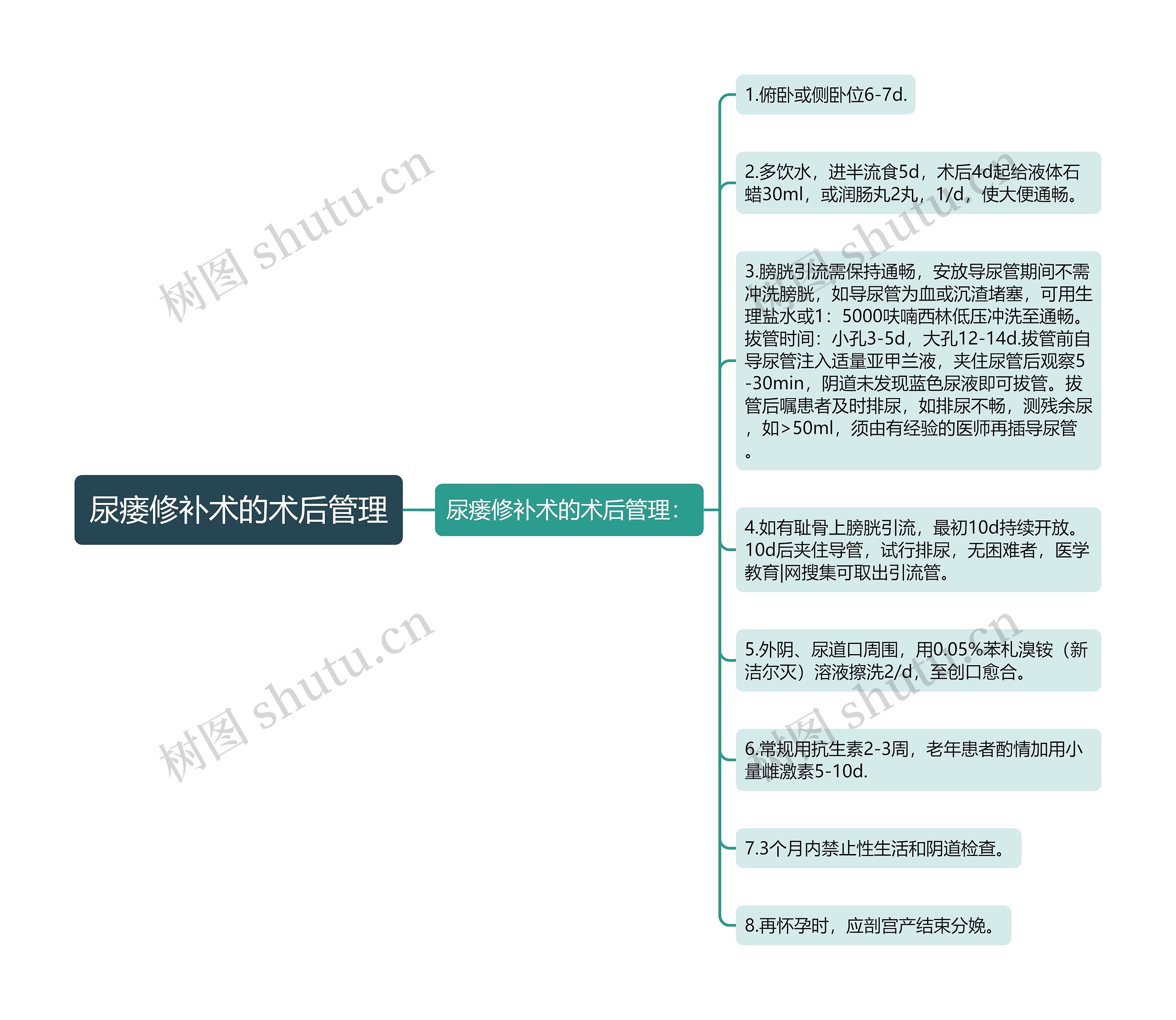 尿瘘修补术的术后管理思维导图