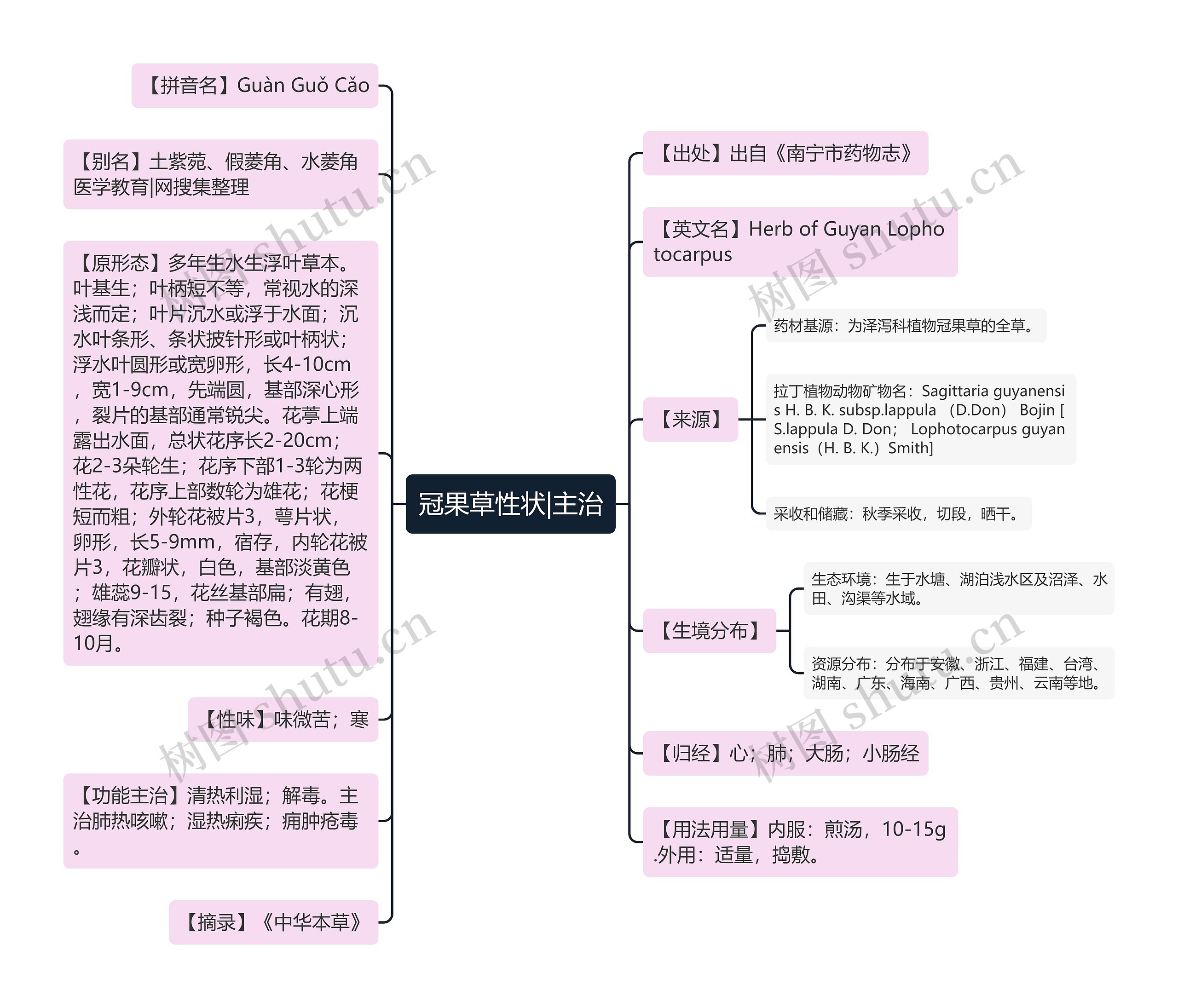 冠果草性状|主治思维导图