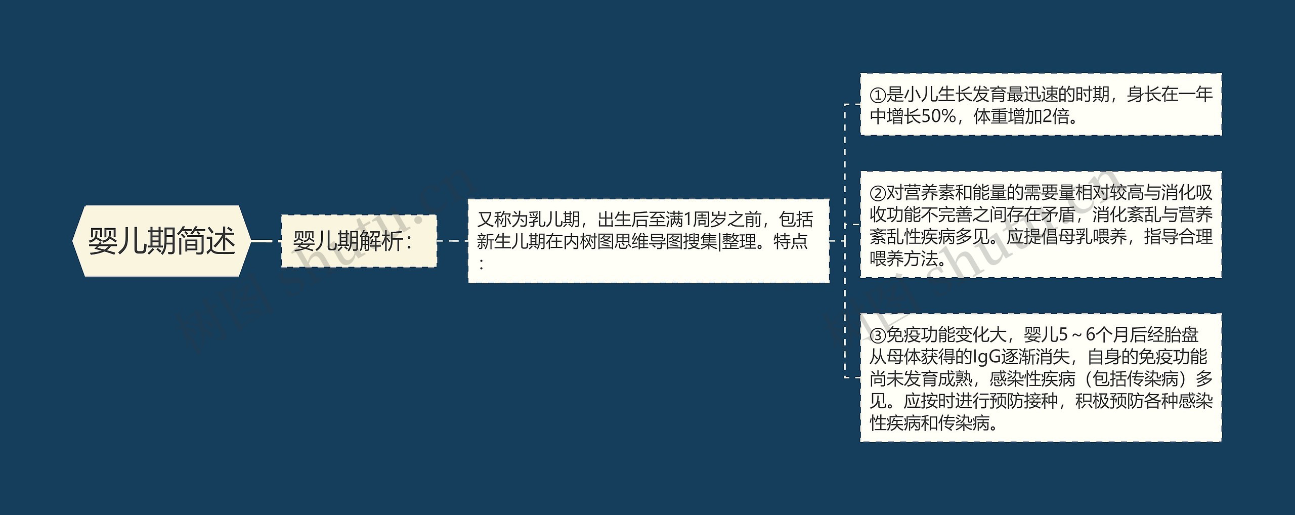 婴儿期简述 婴儿期简述