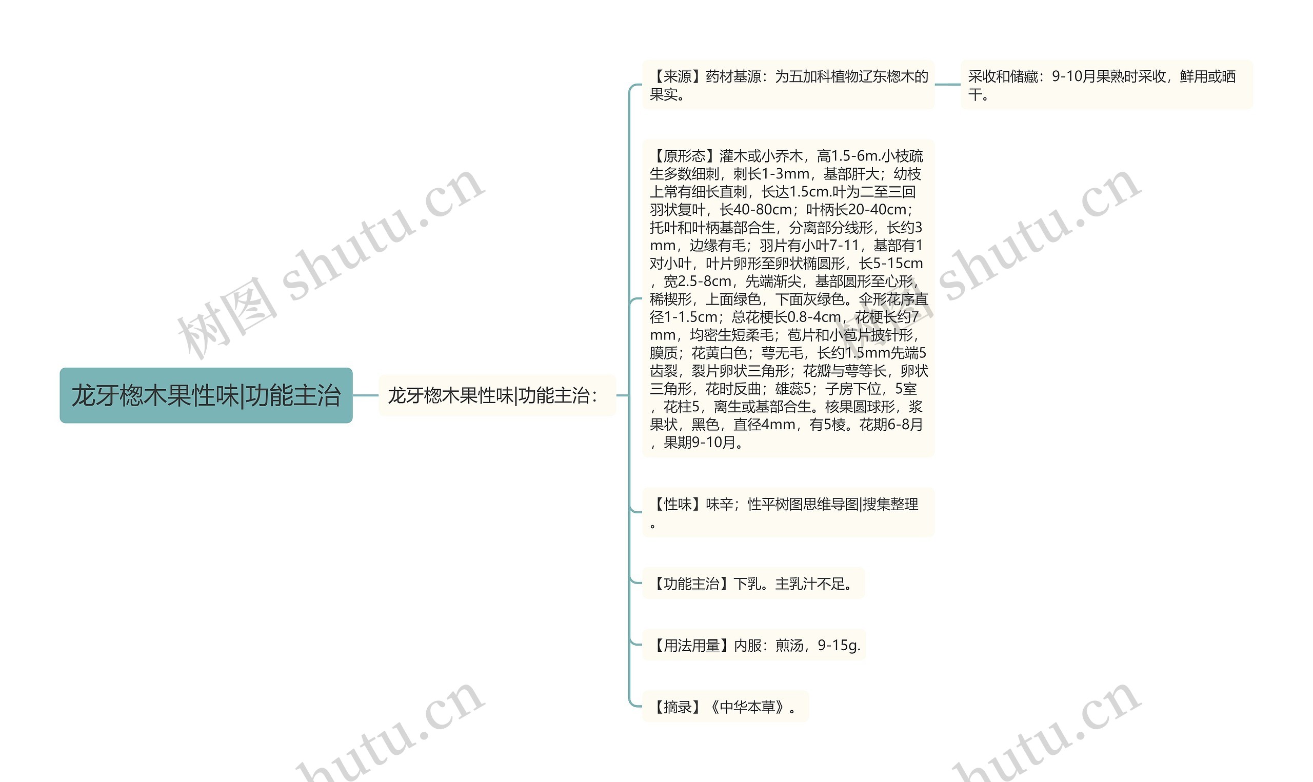 龙牙楤木果性味|功能主治