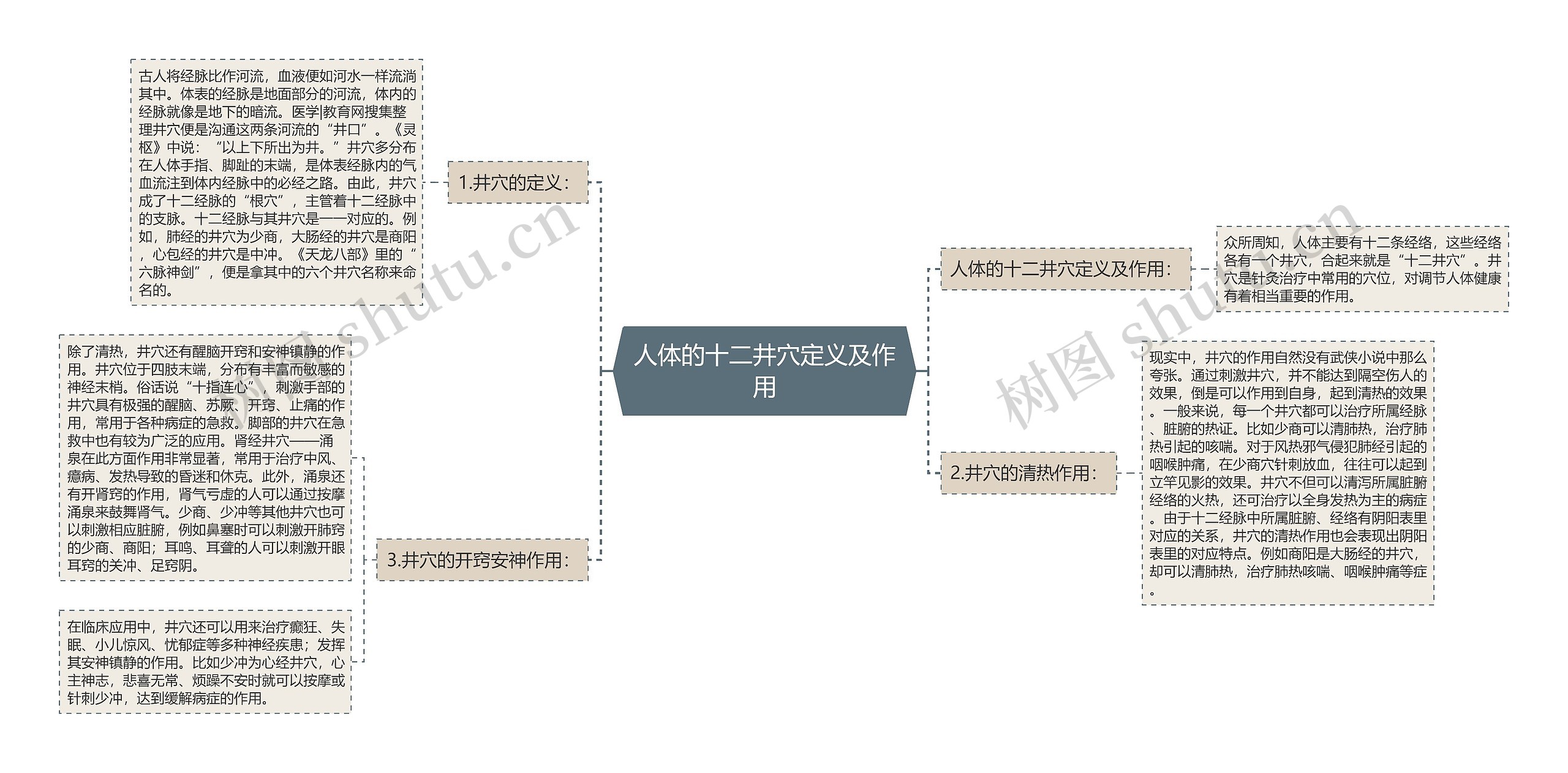 人体的十二井穴定义及作用思维导图