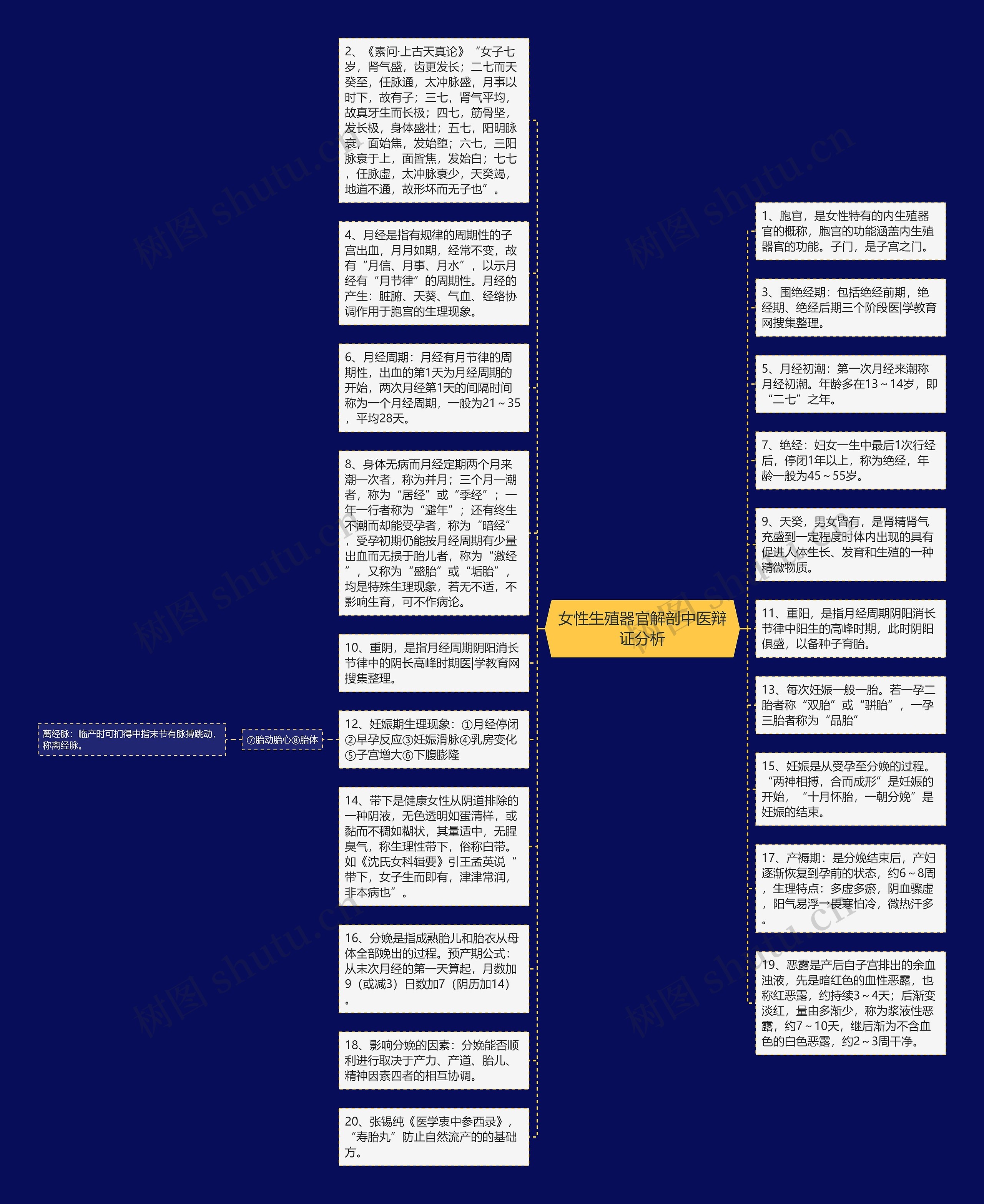 女性生殖器官解剖中医辩证分析思维导图